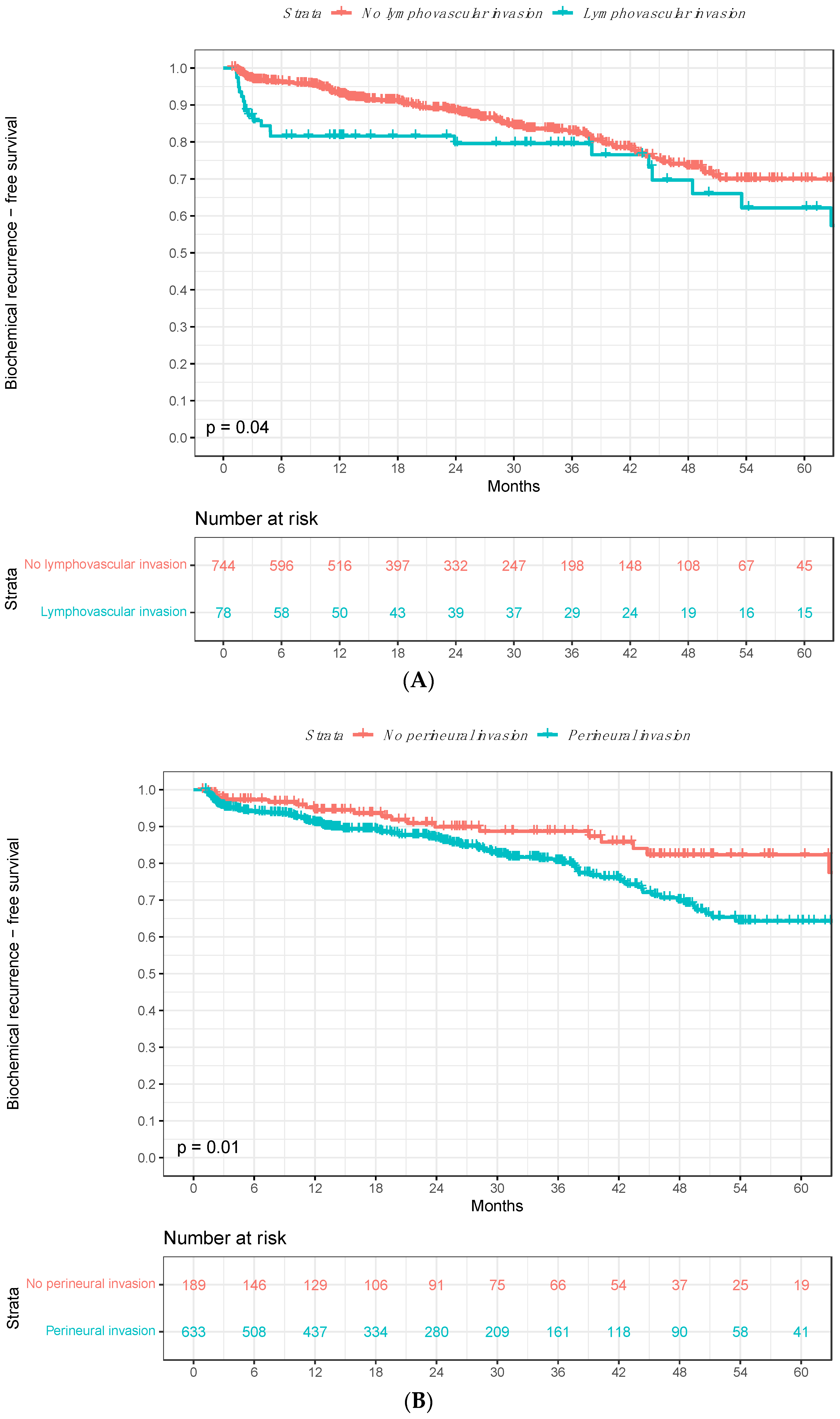 Cancers 16 03648 g002