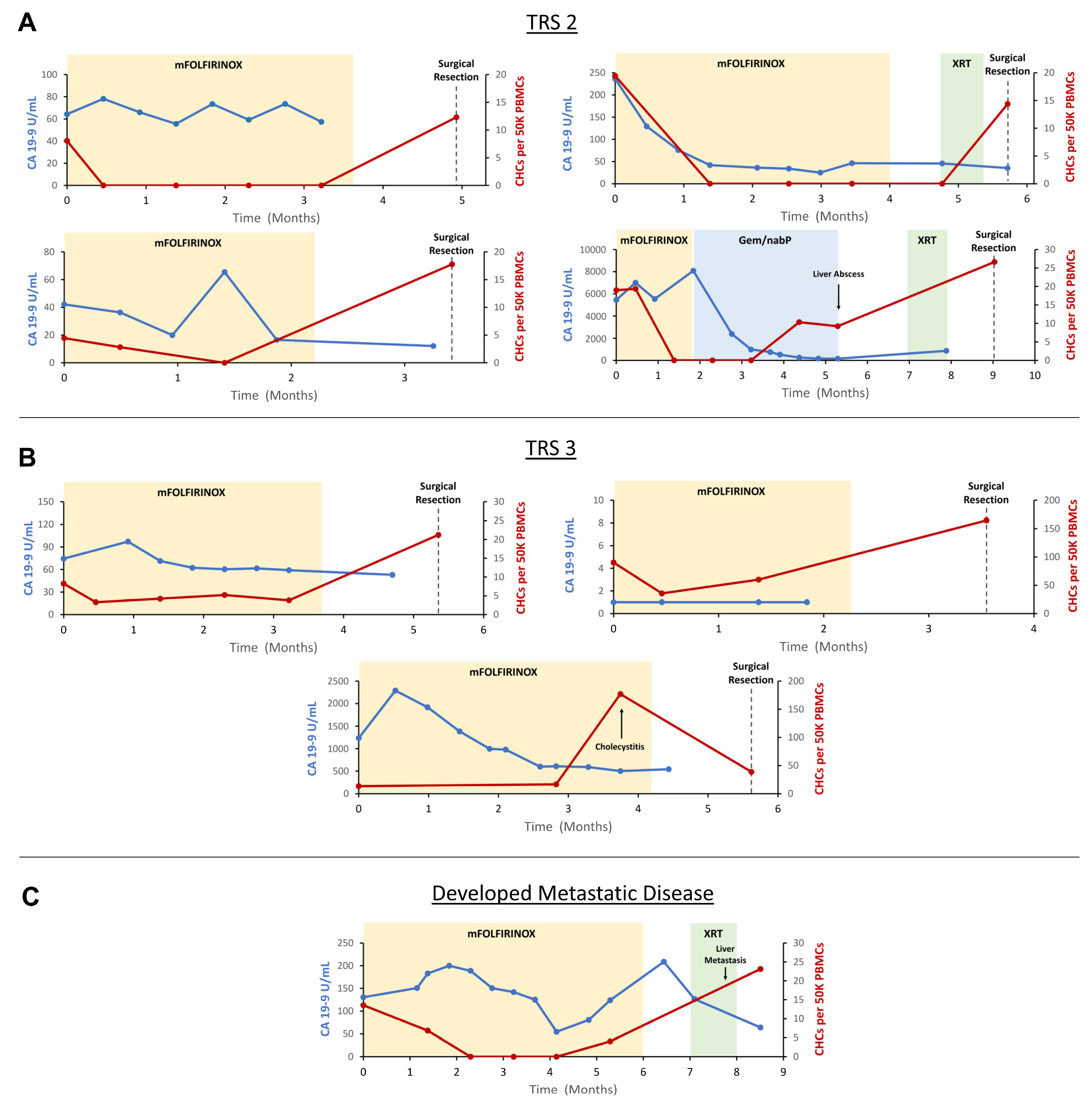 Cancers 16 03650 g004