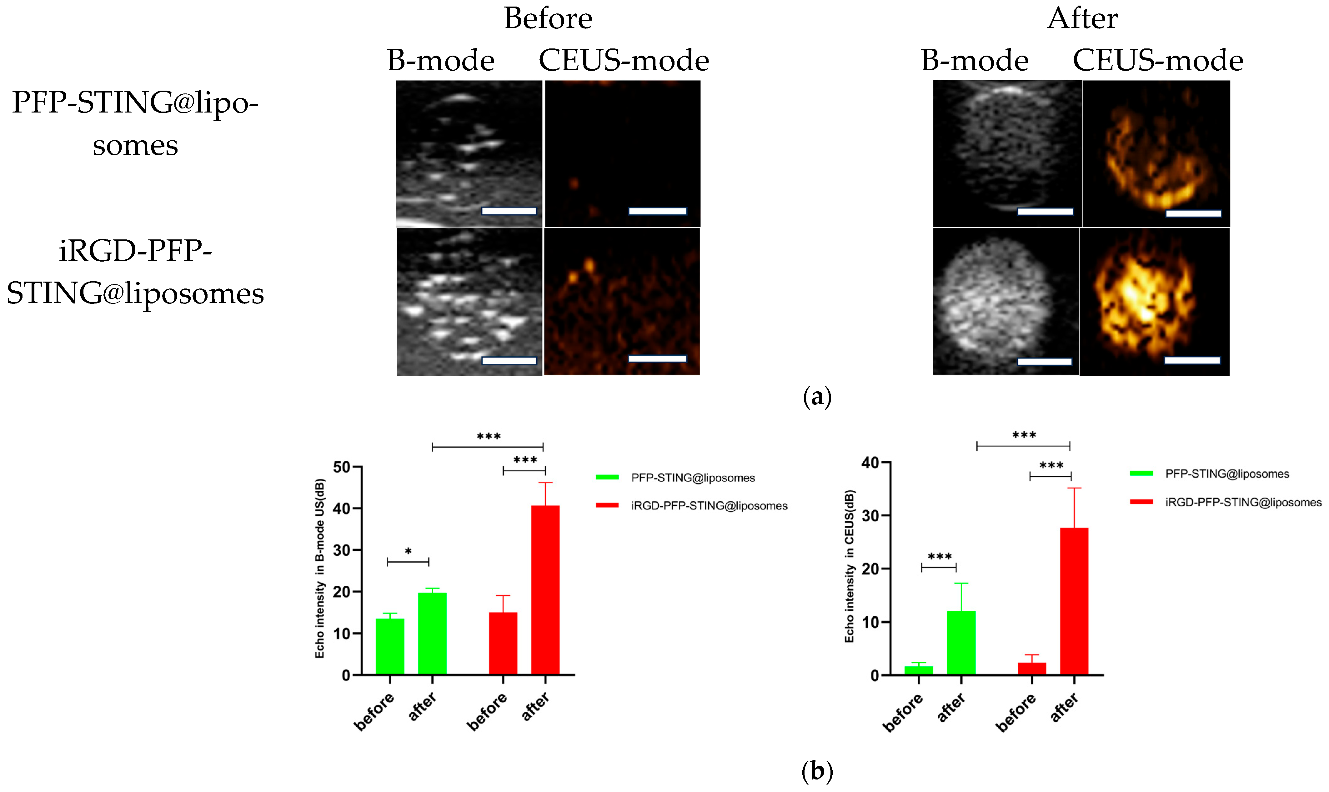 Cancers 16 03657 g003