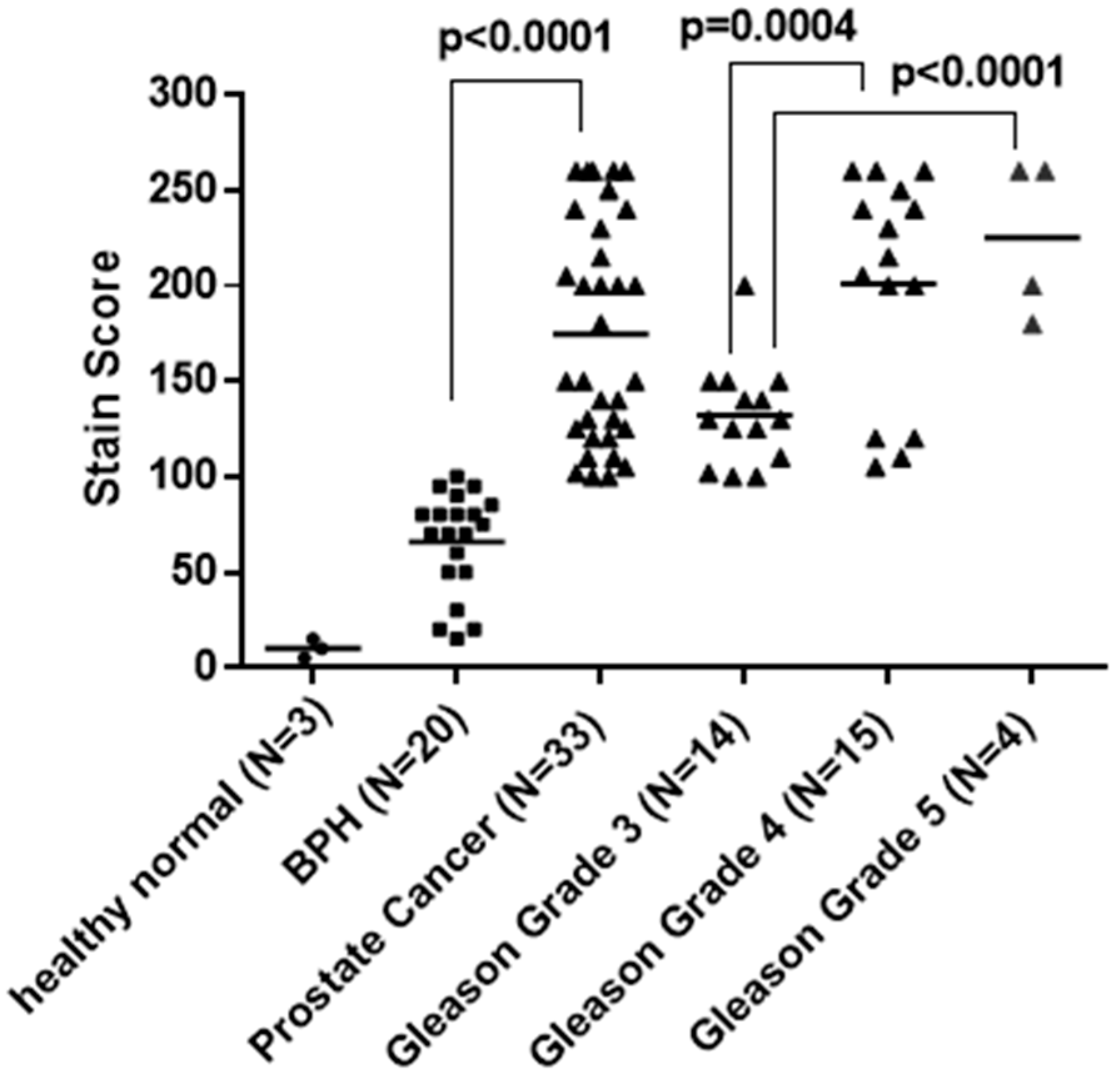 Cancers 16 03659 g002