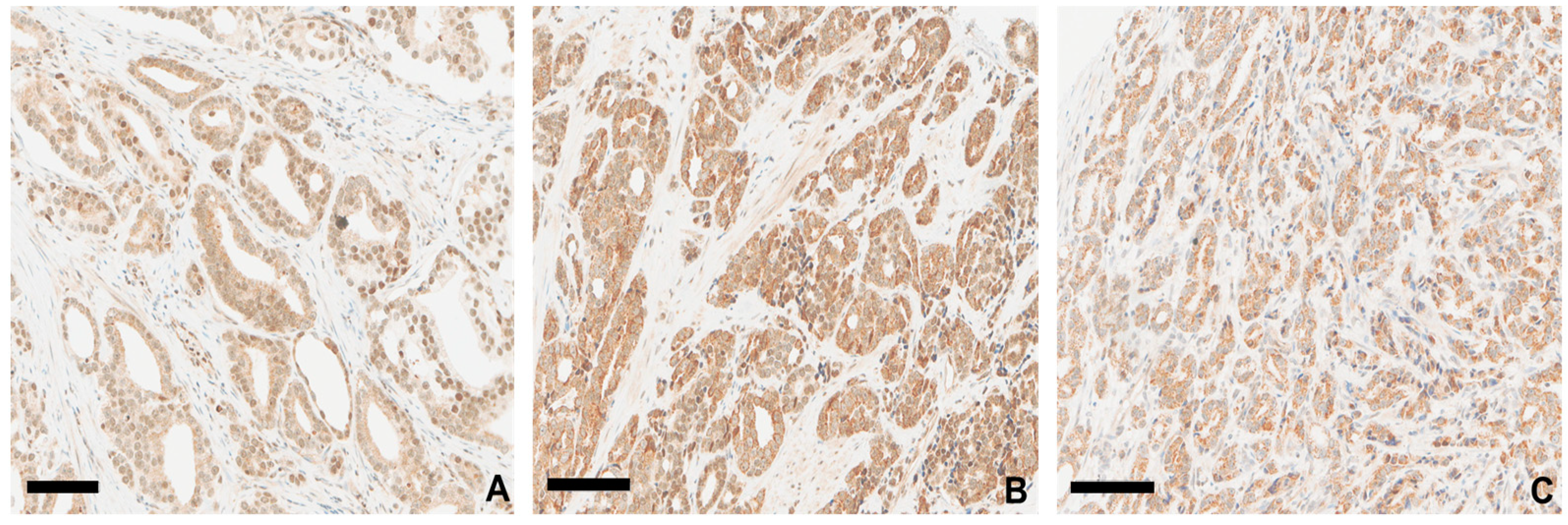 Cancers 16 03659 g006