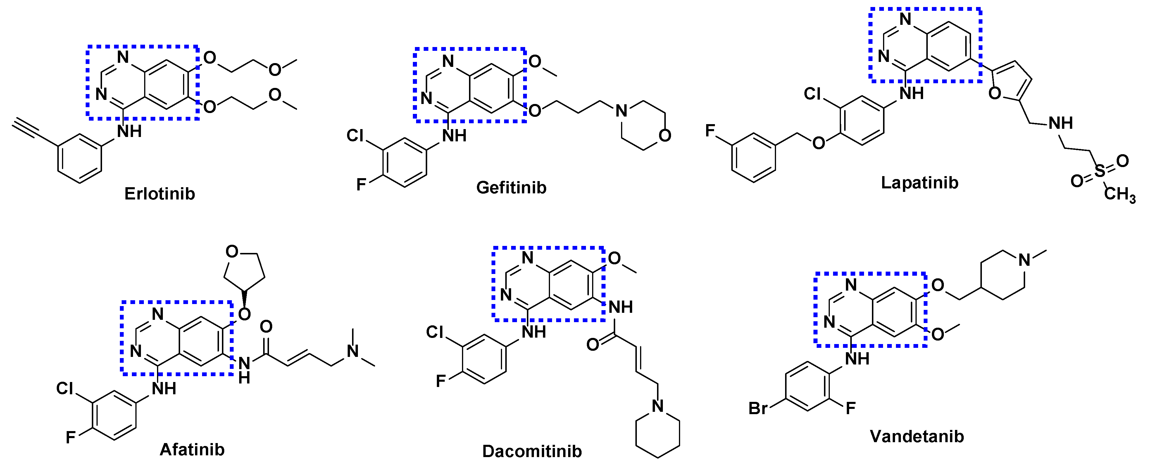Cancers 16 03667 g002