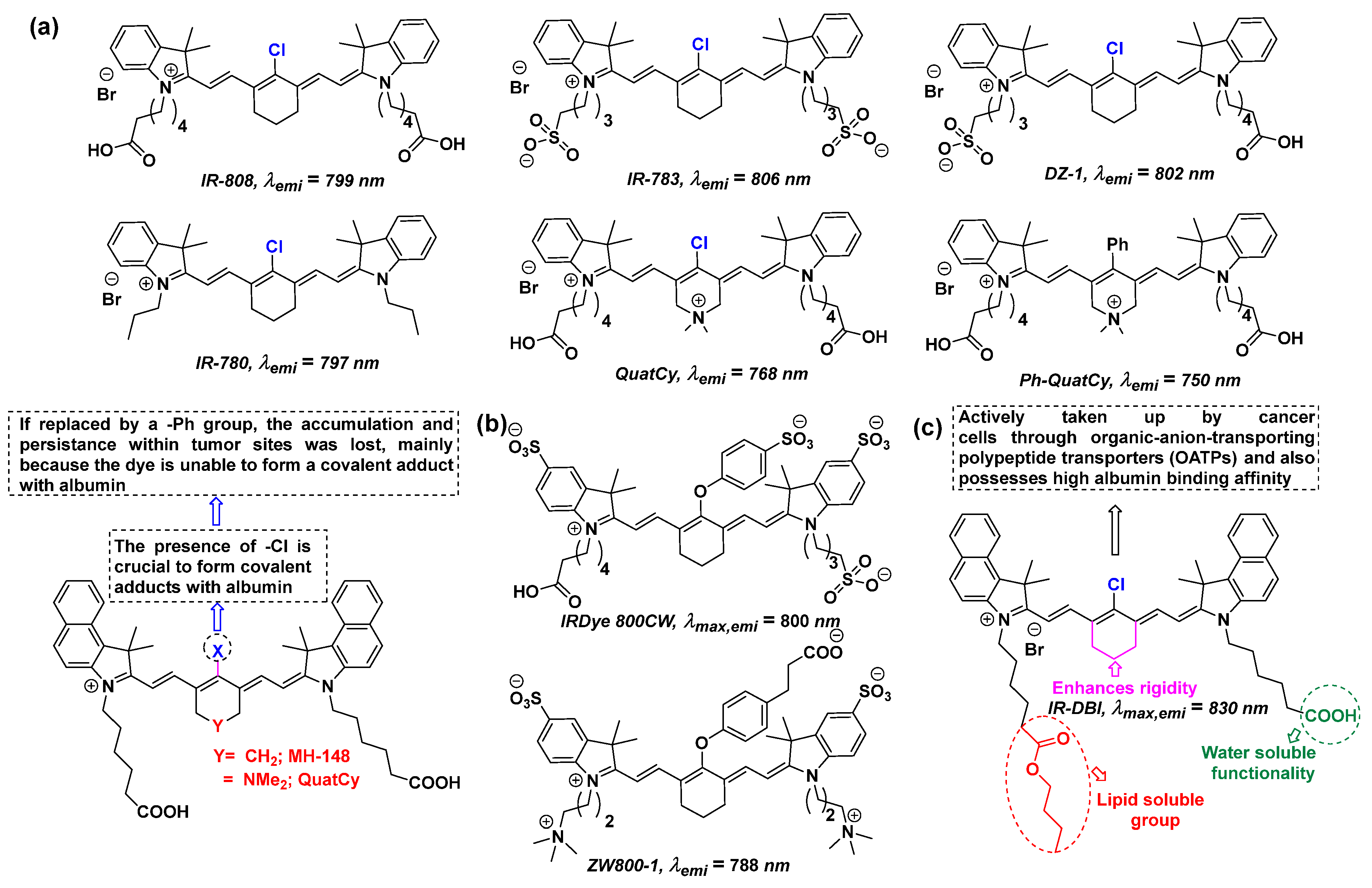 Cancers 16 03667 g003