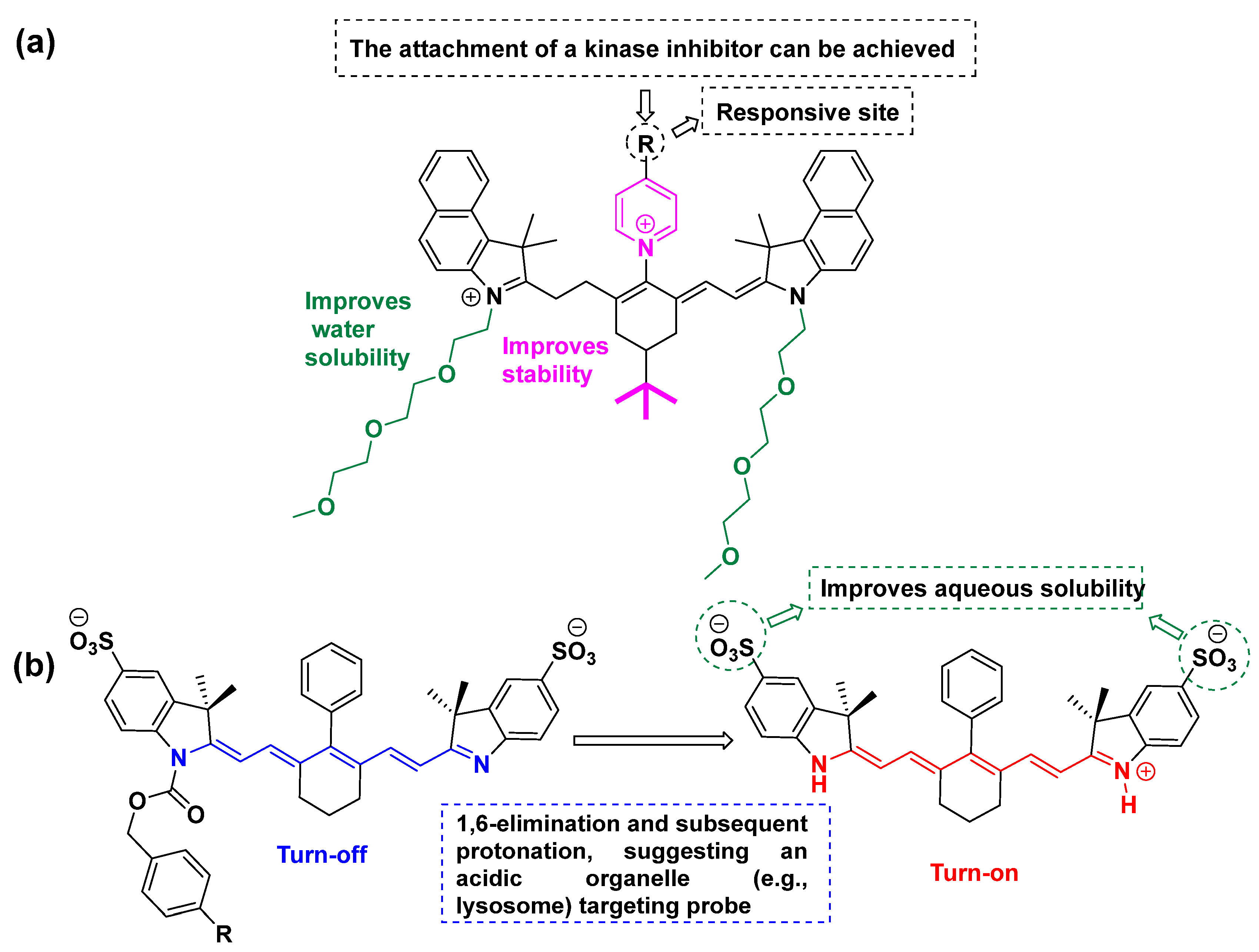 Cancers 16 03667 g004