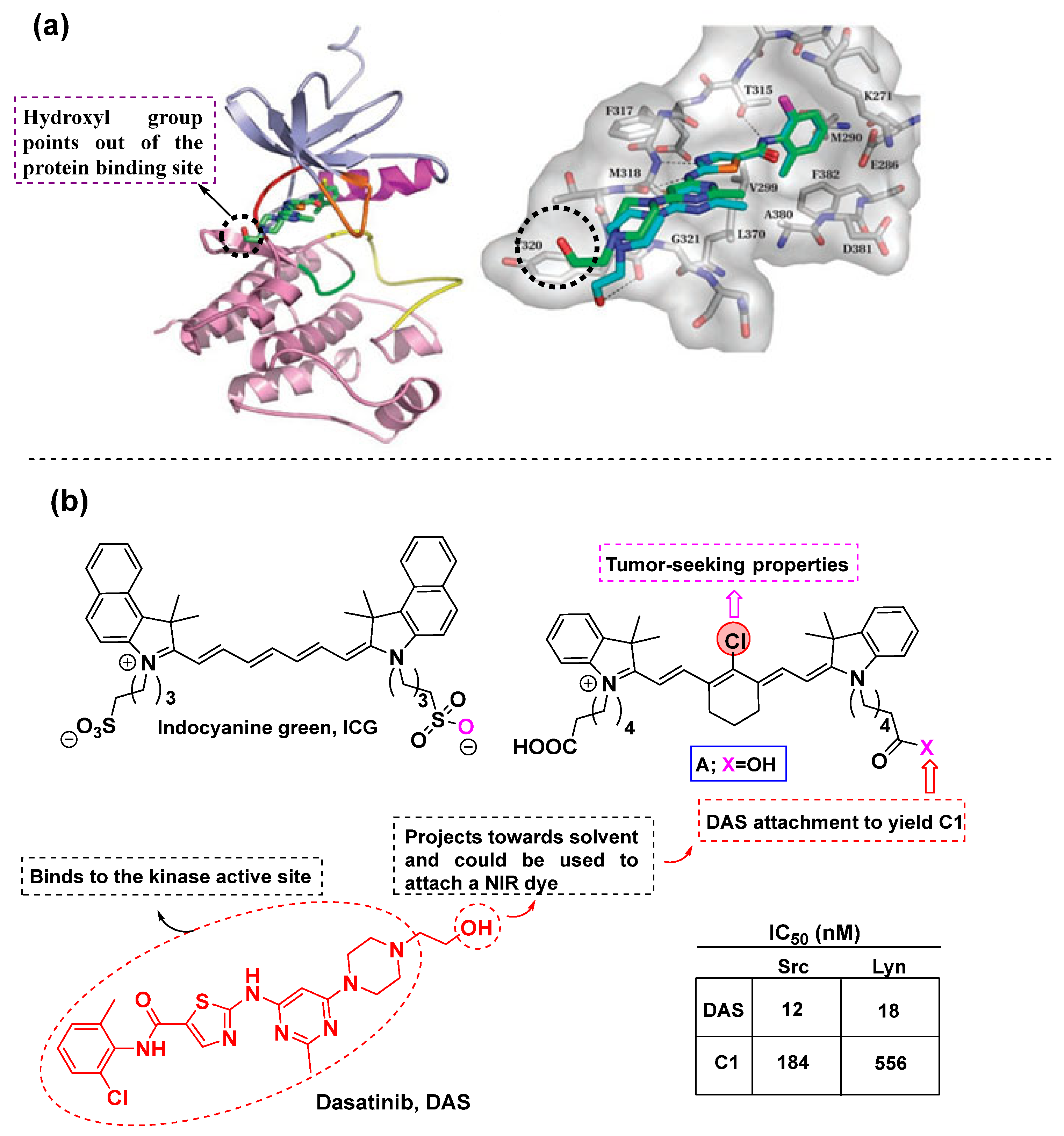 Cancers 16 03667 g006