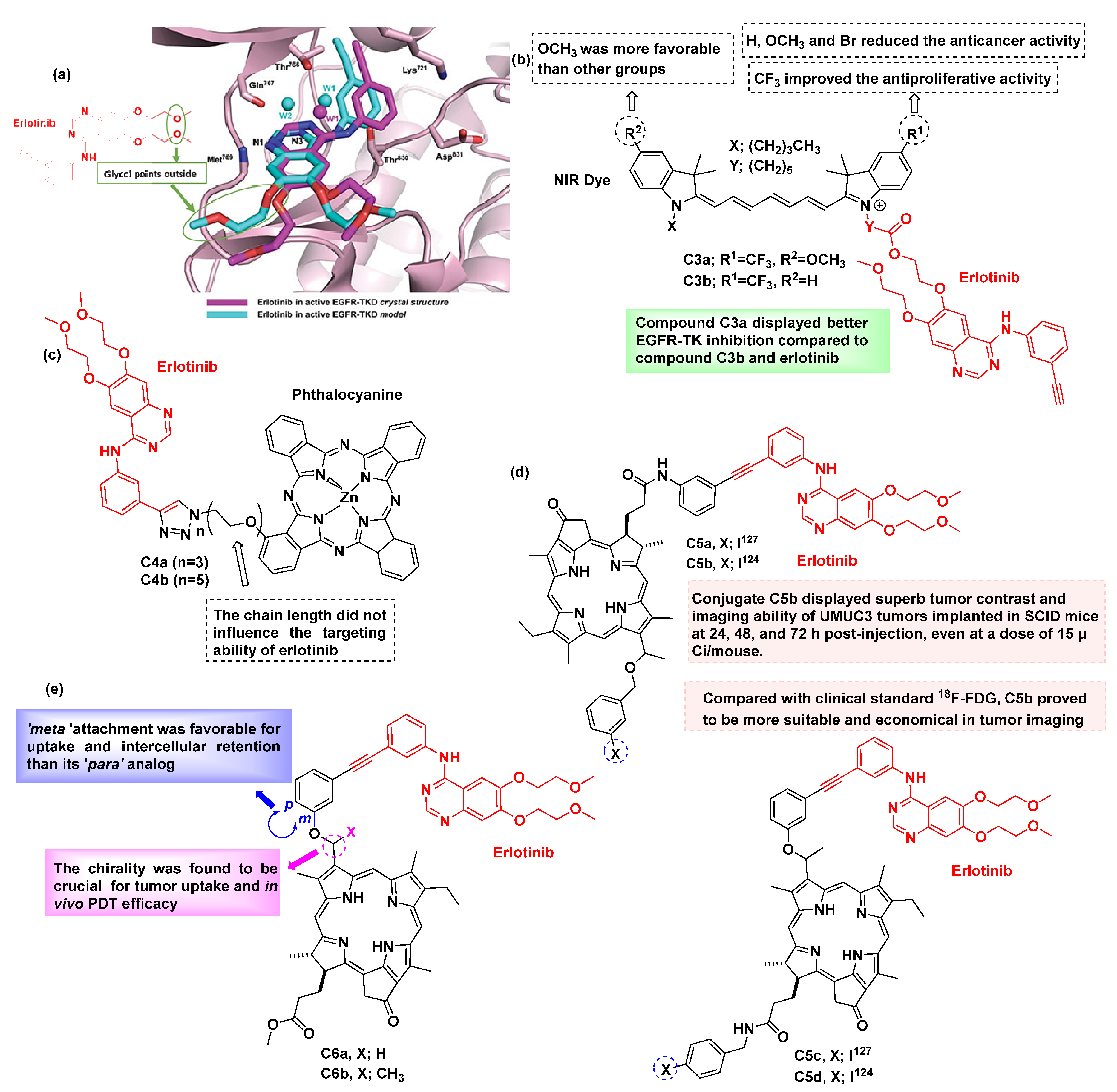 Cancers 16 03667 g009
