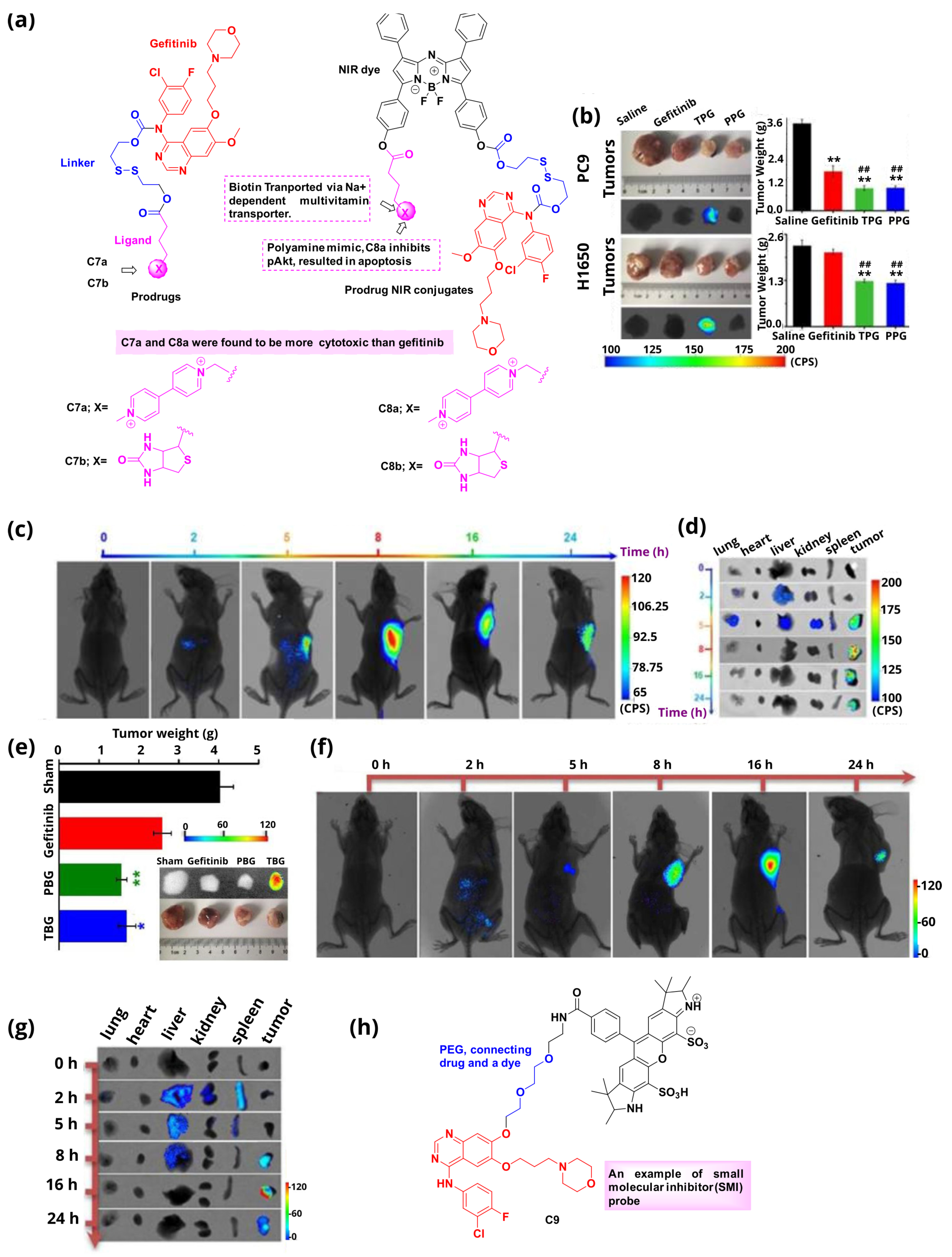 Cancers 16 03667 g010