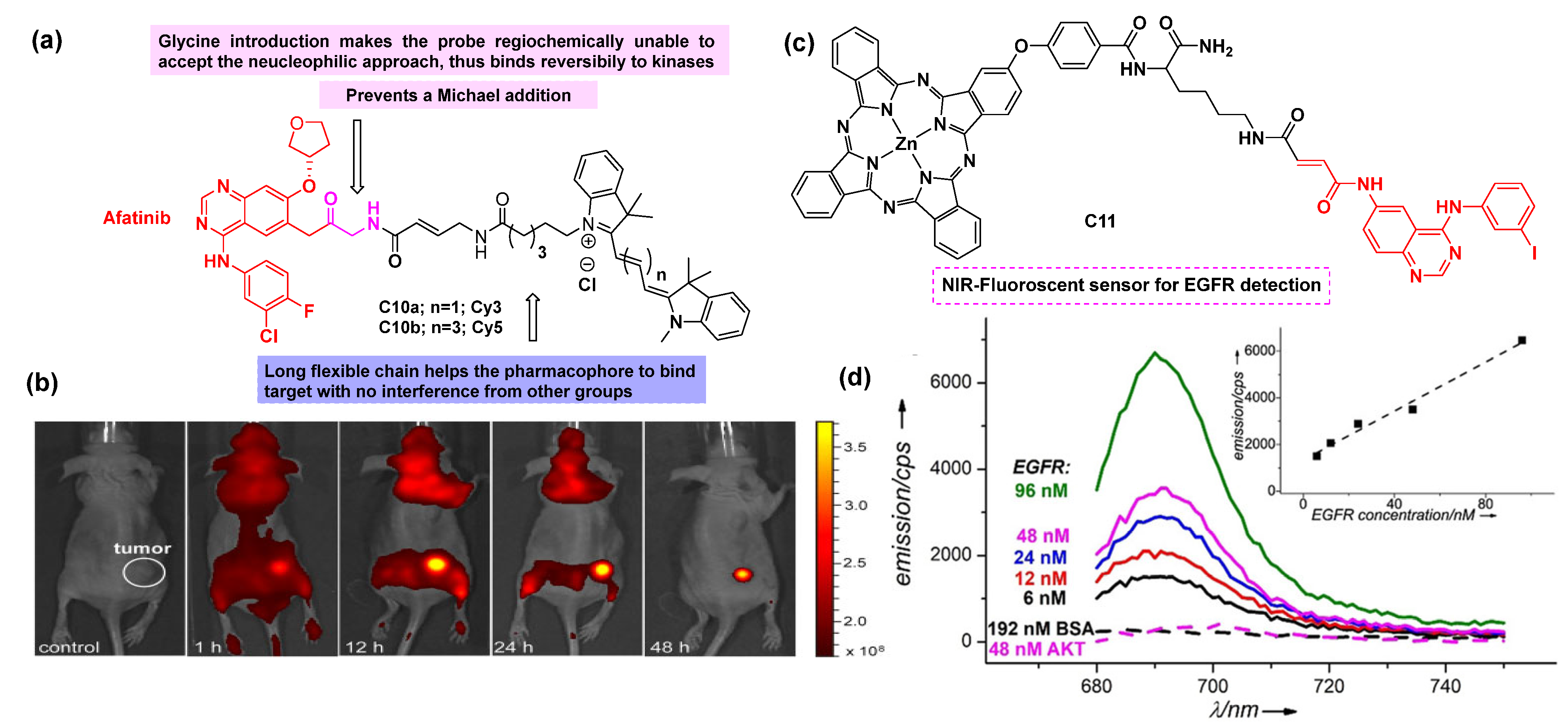 Cancers 16 03667 g011