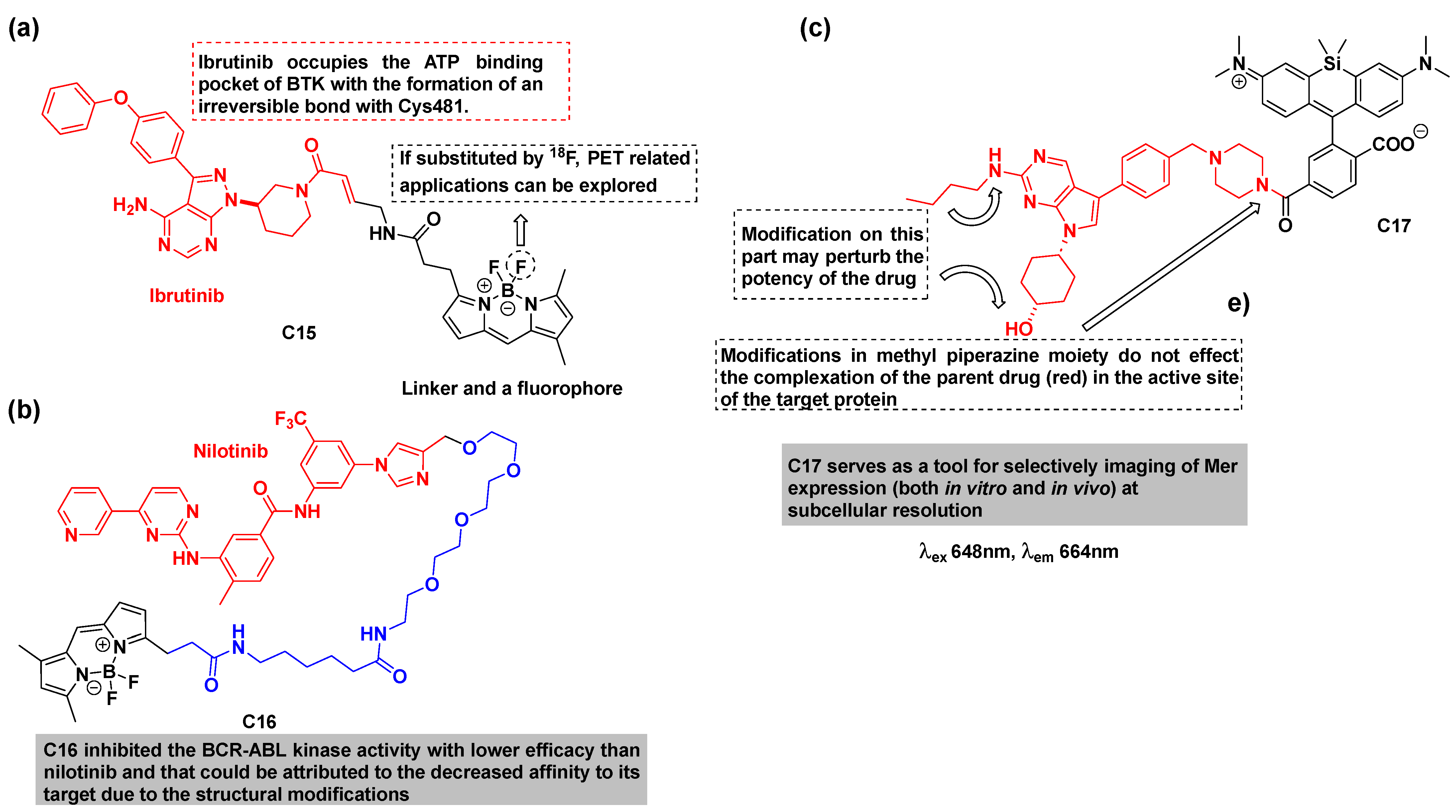 Cancers 16 03667 g013