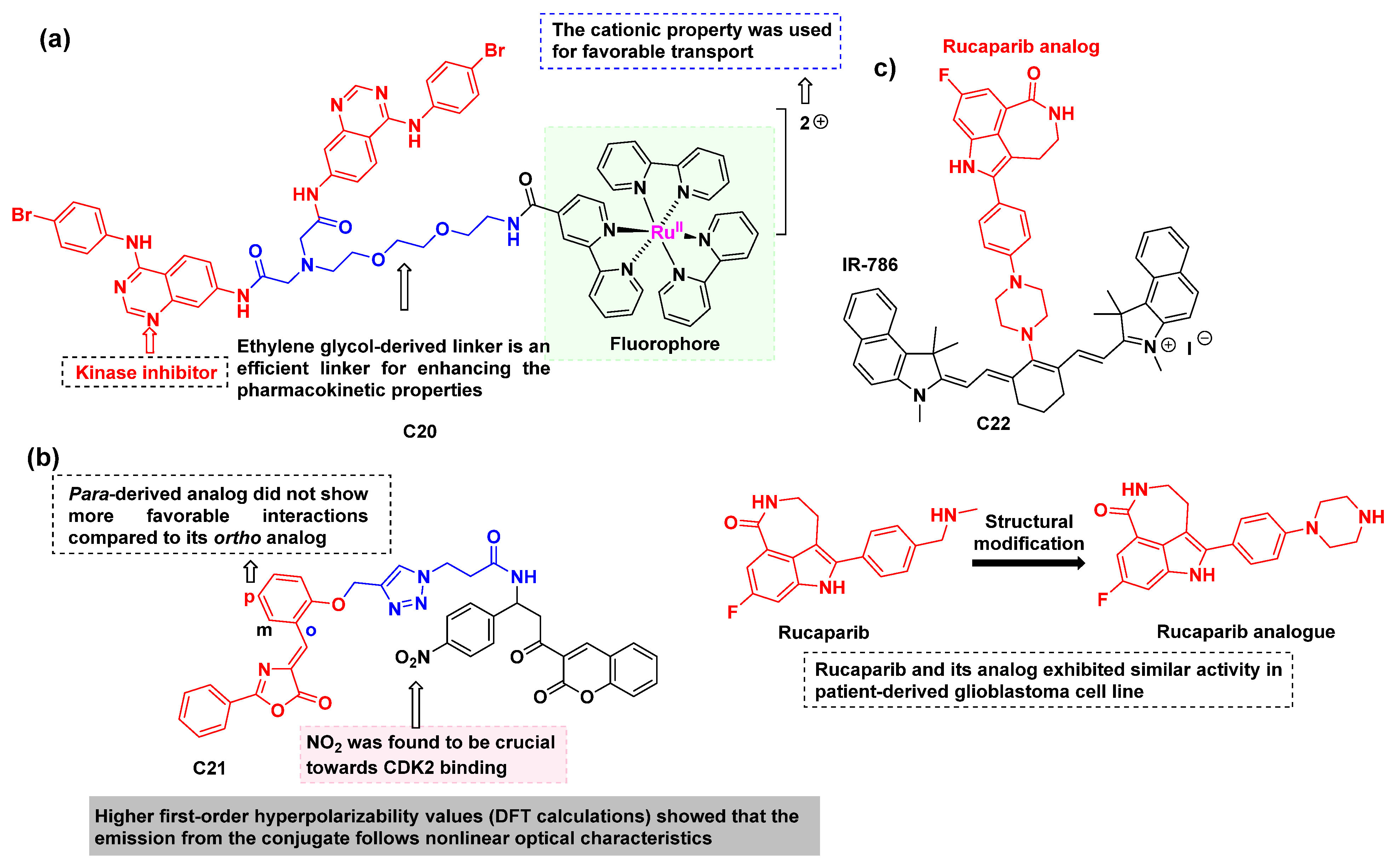Cancers 16 03667 g015