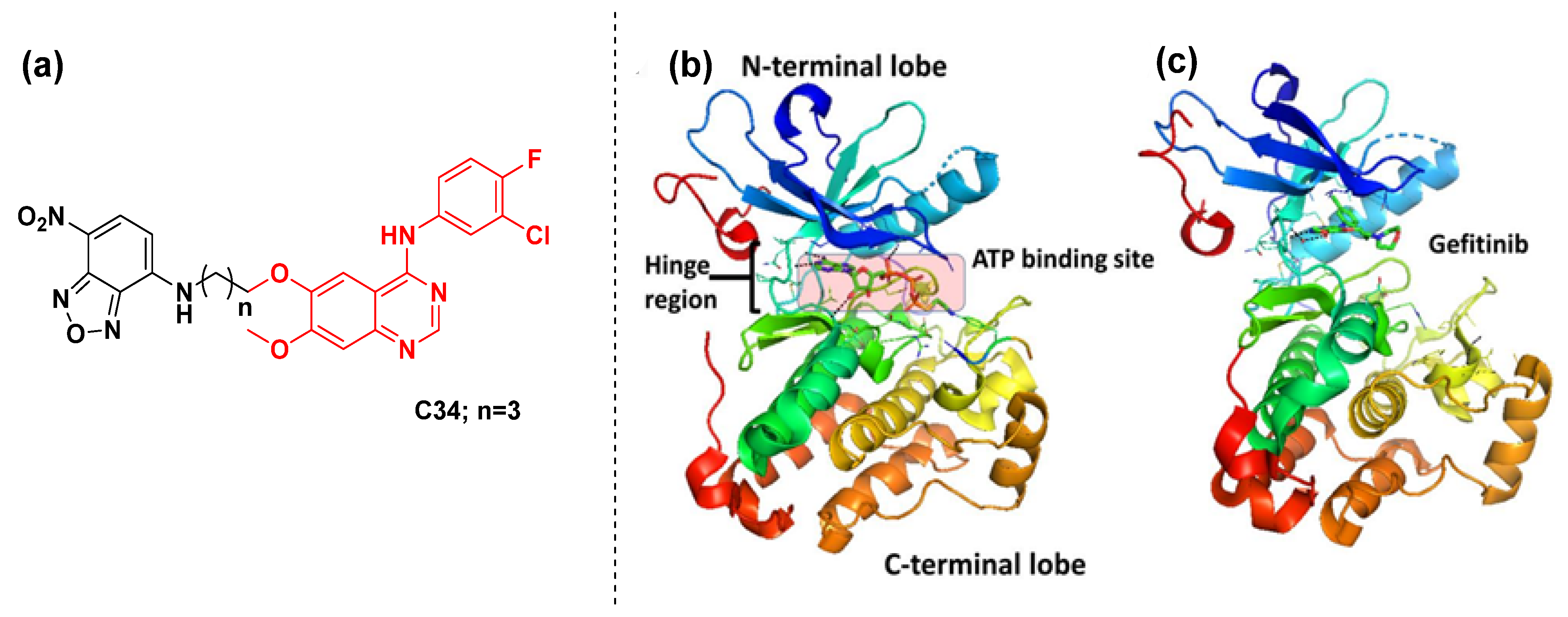 Cancers 16 03667 g018