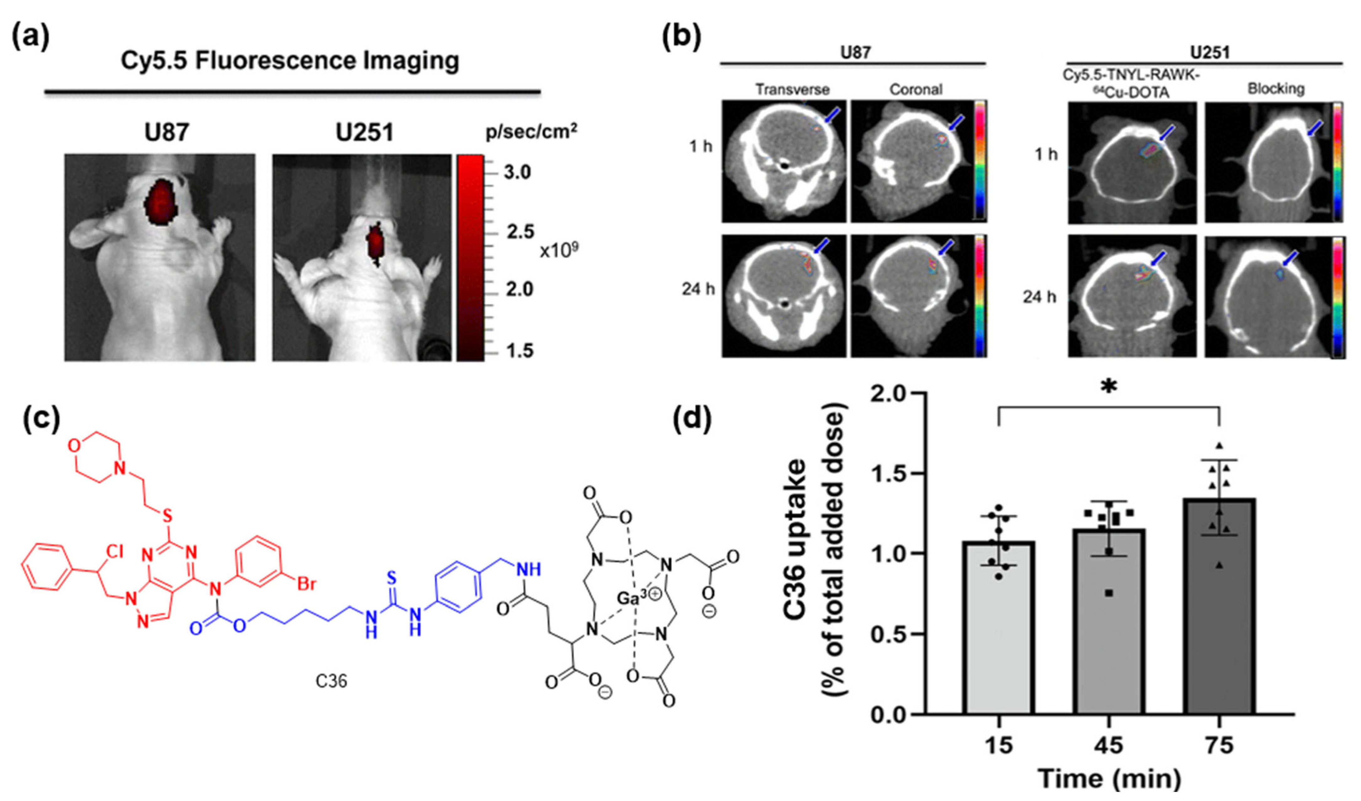 Cancers 16 03667 g019