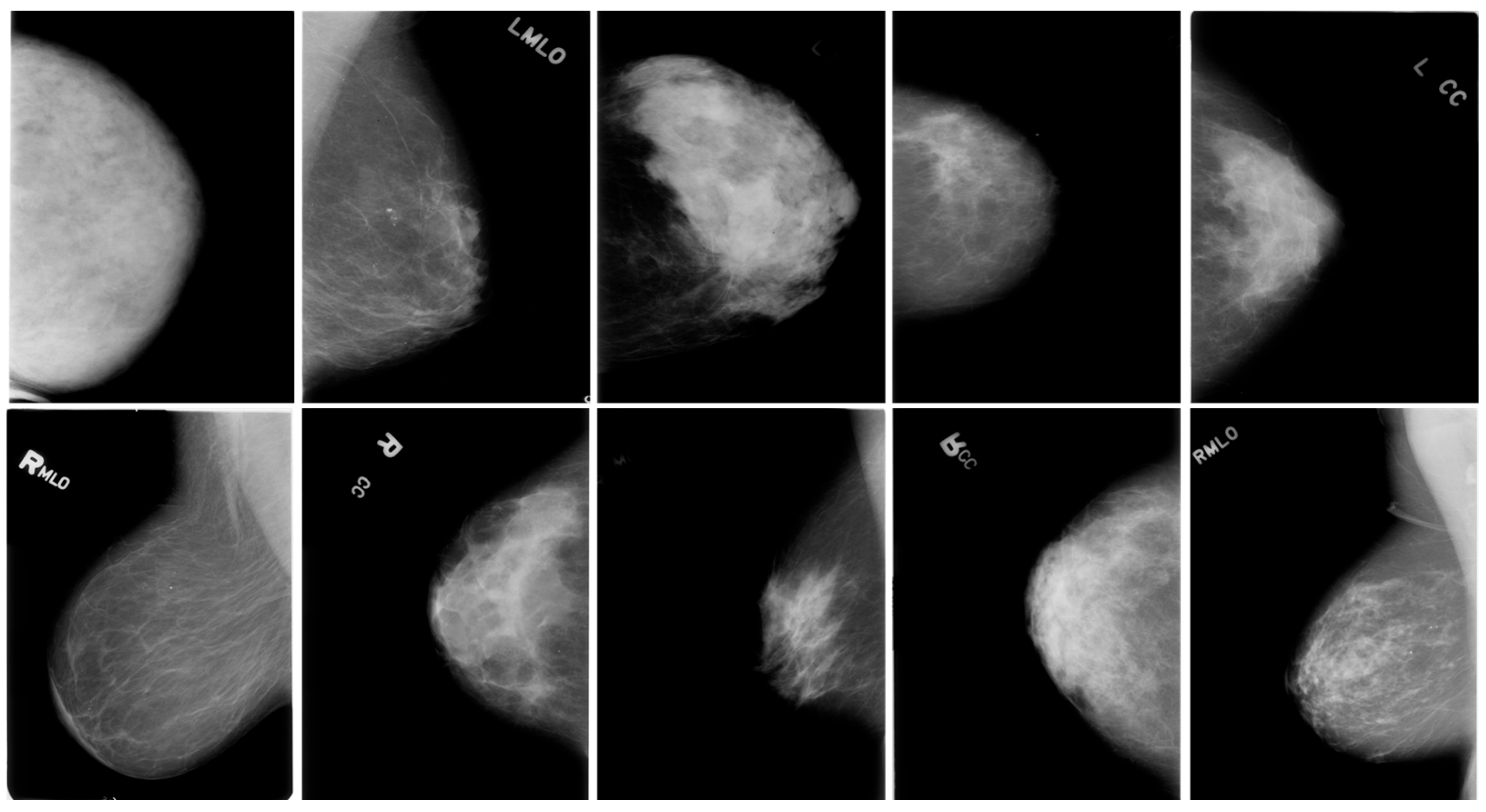 Cancers 16 03668 g001