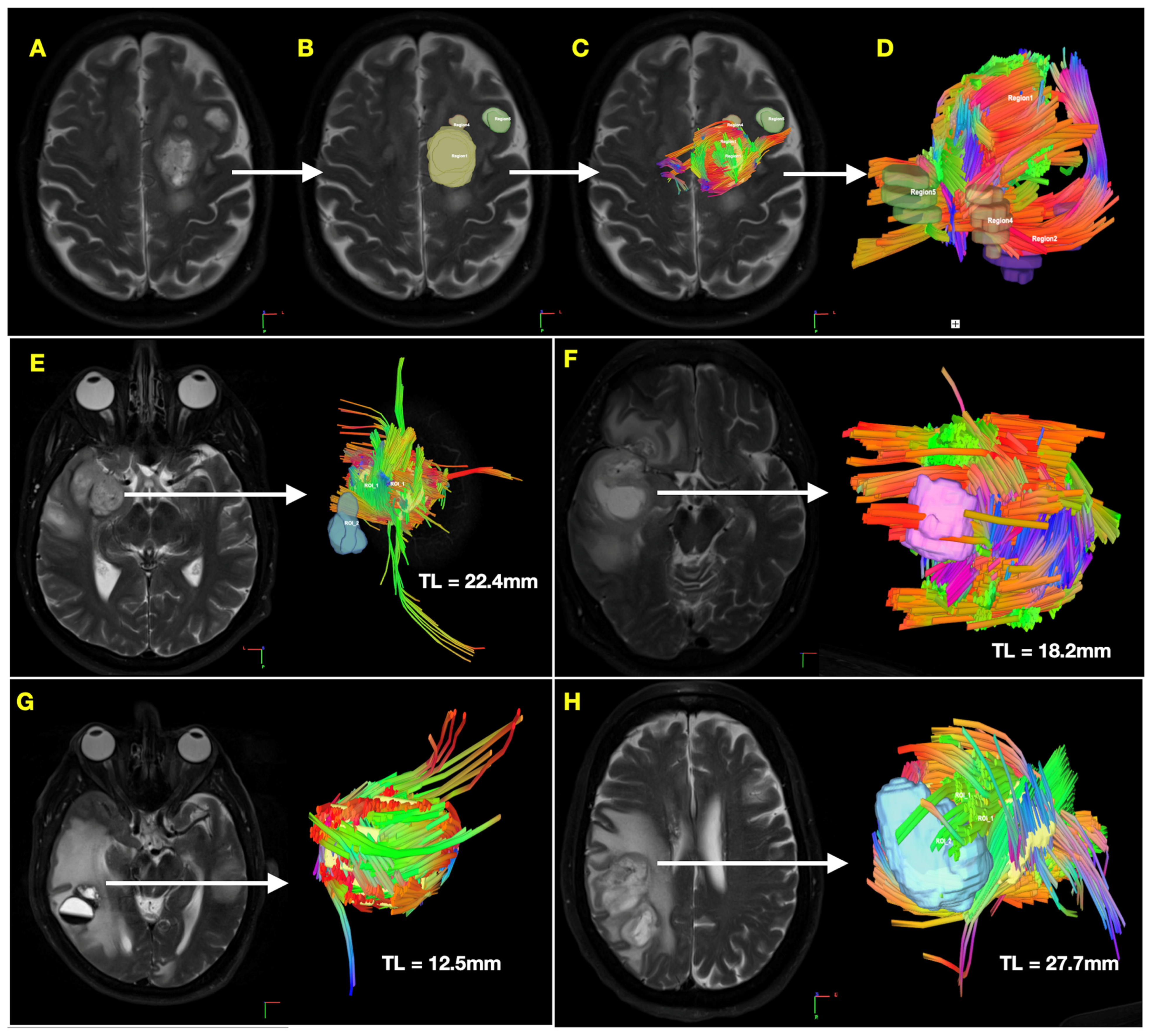 Cancers 16 03669 g001