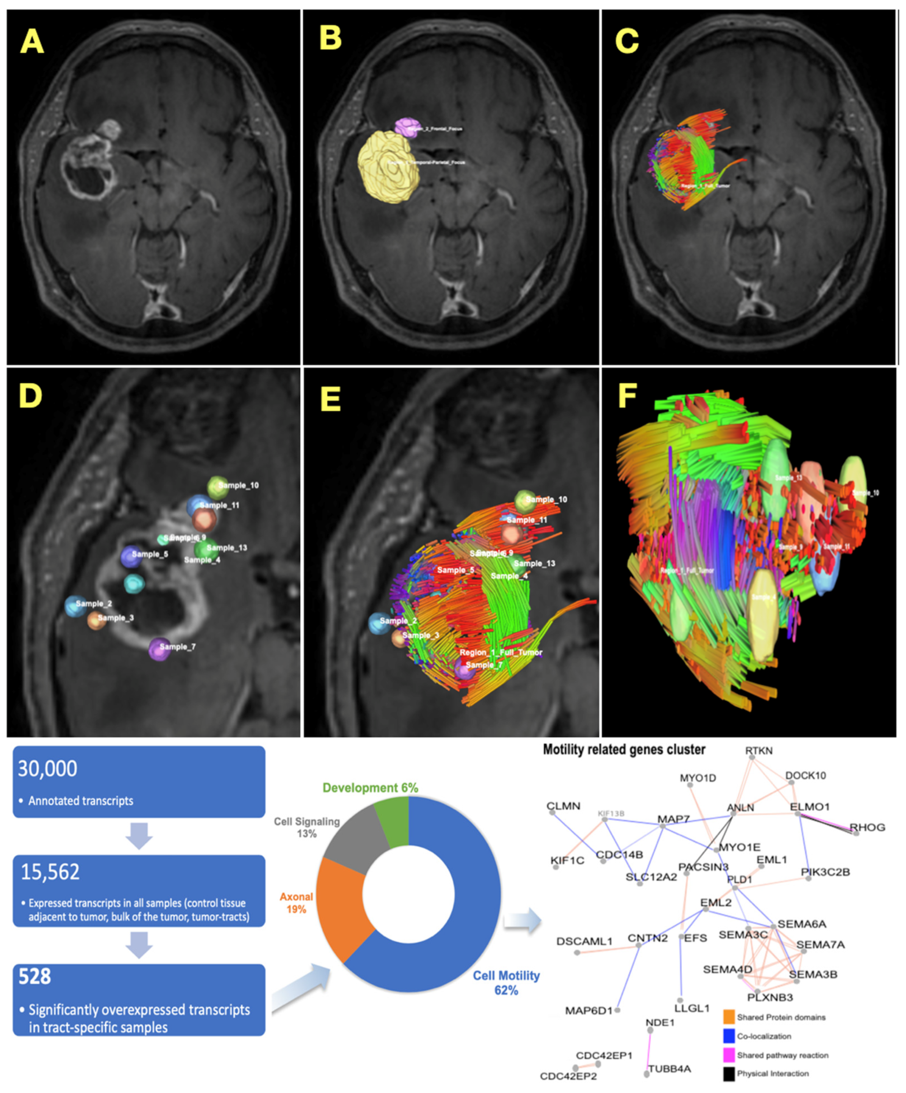 Cancers 16 03669 g004