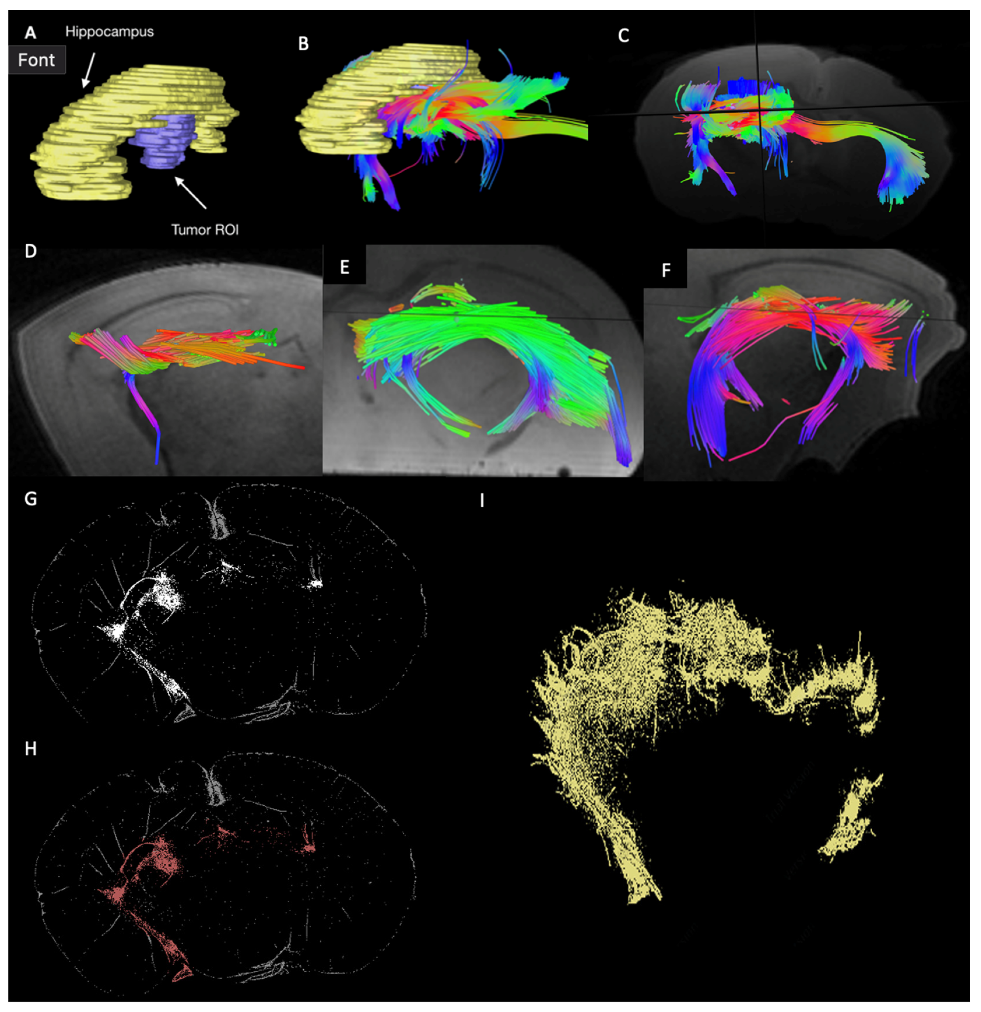Cancers 16 03669 g005