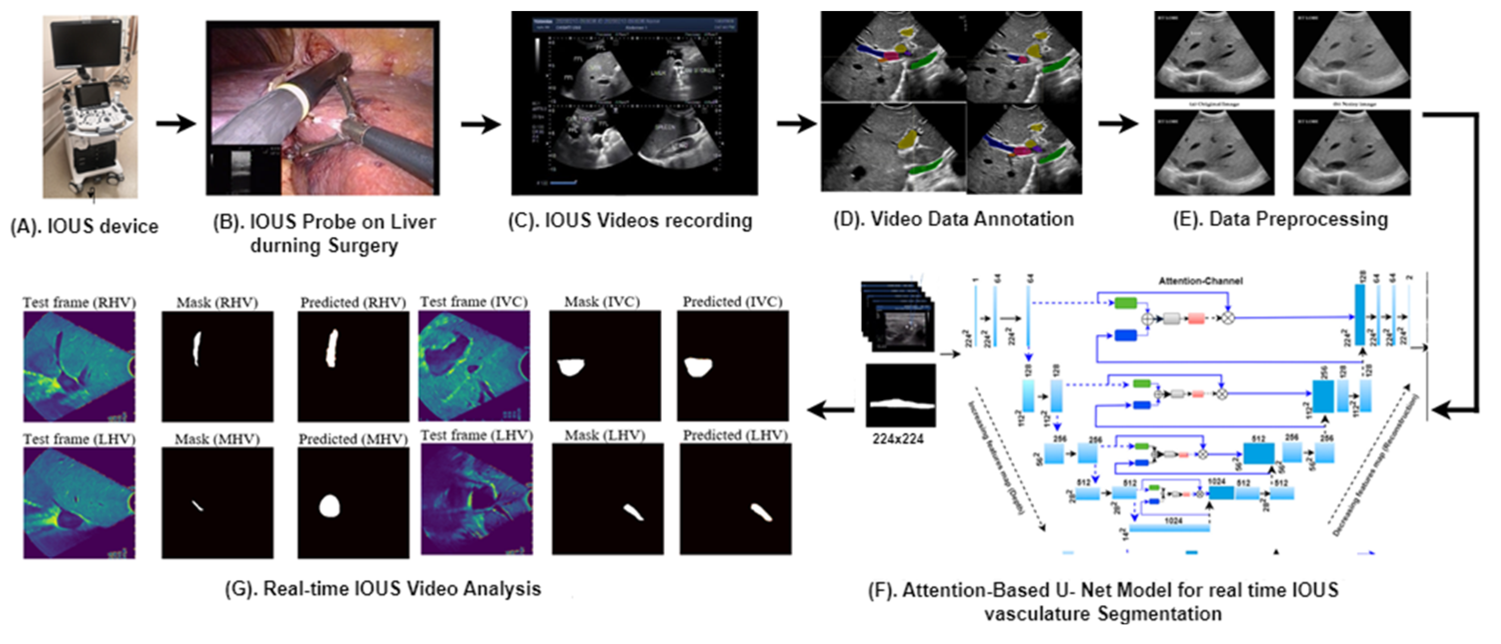 Cancers 16 03674 g001