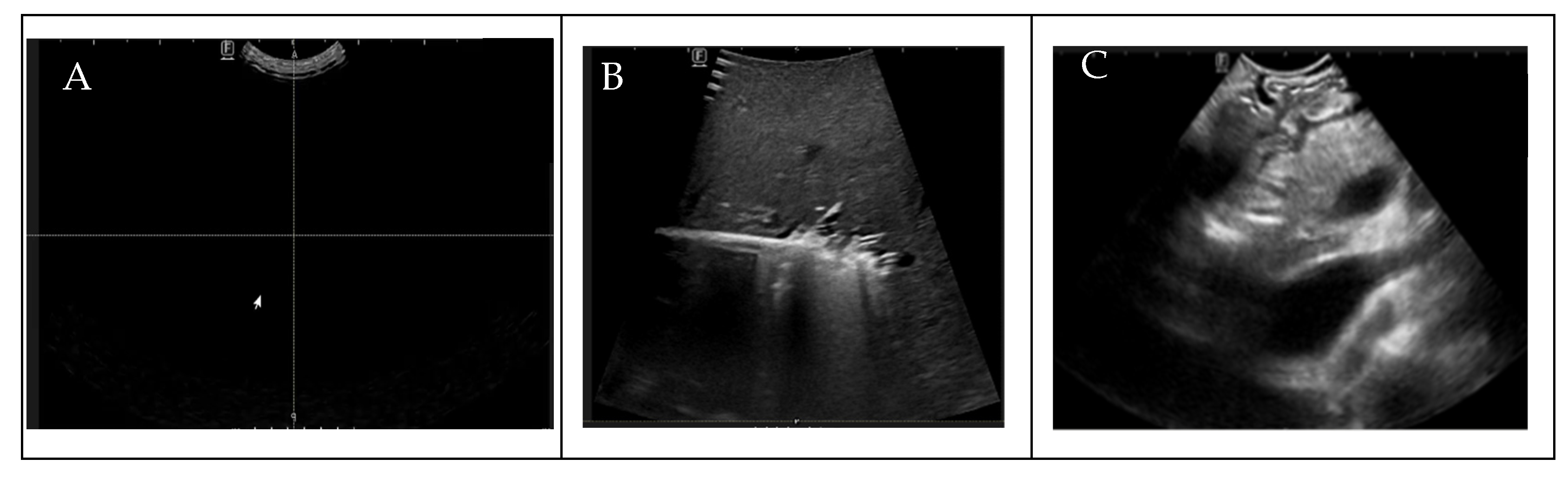 Cancers 16 03674 g002