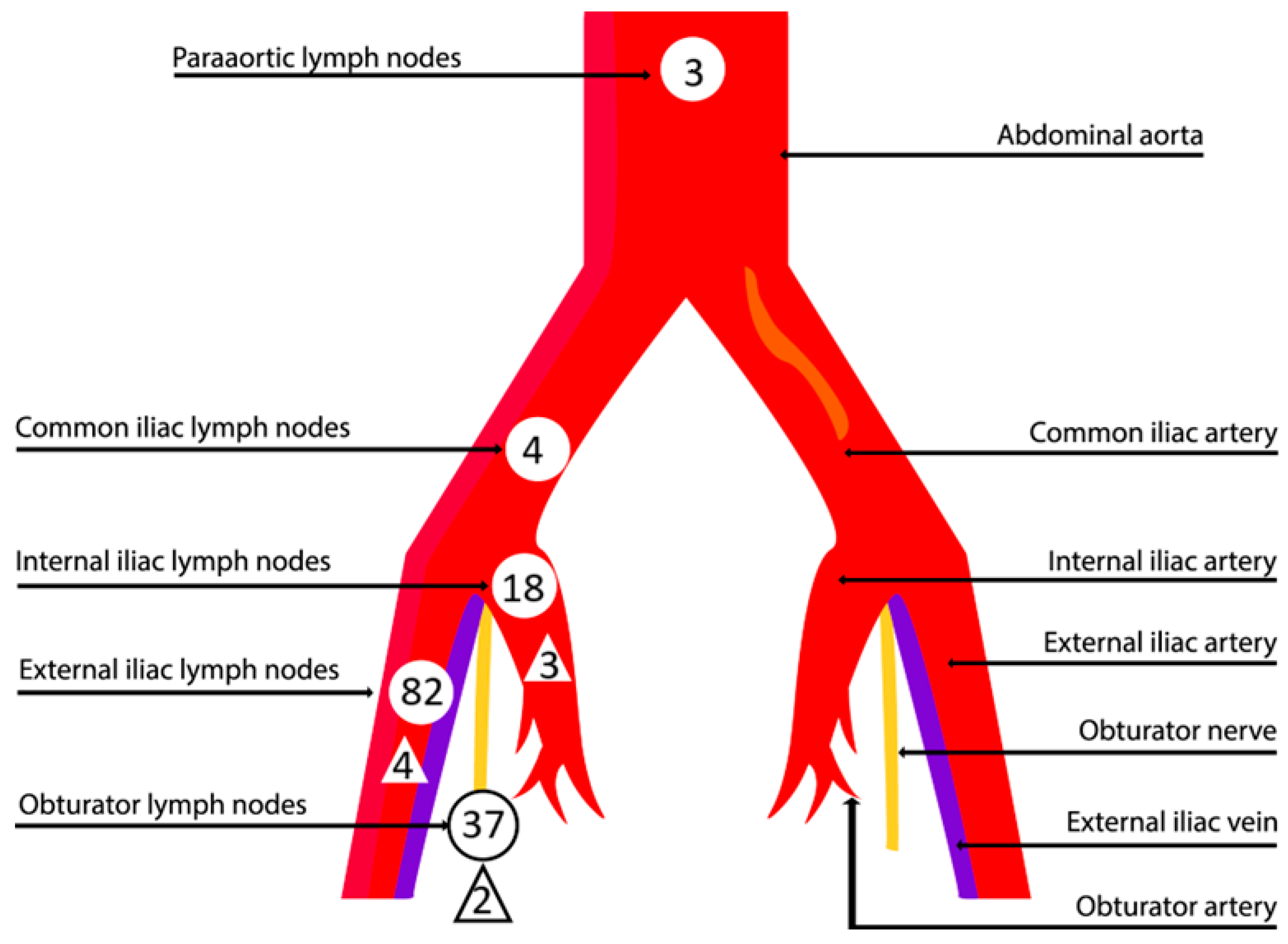 Cancers 16 03680 g001