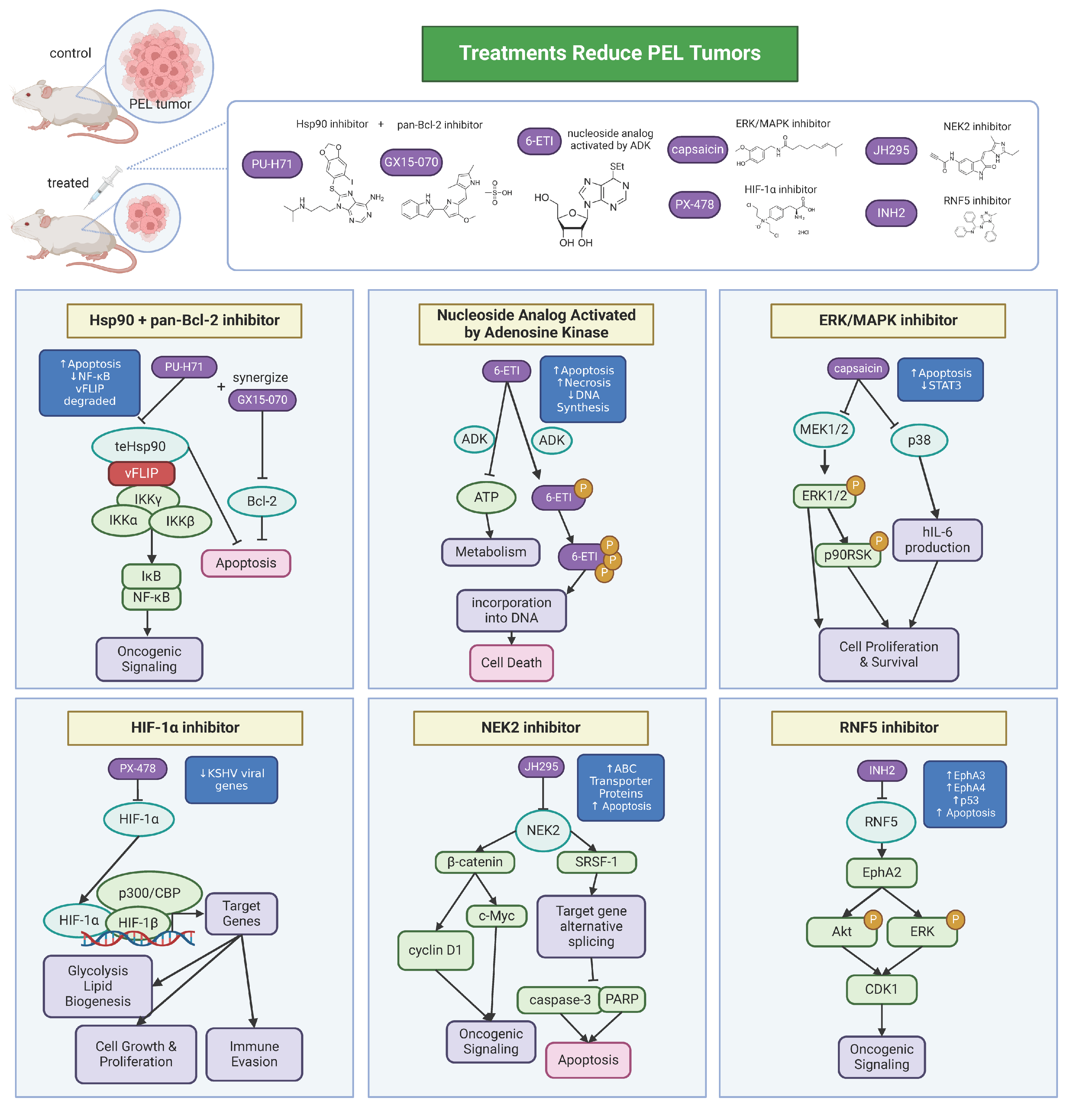 Cancers 16 03693 g003