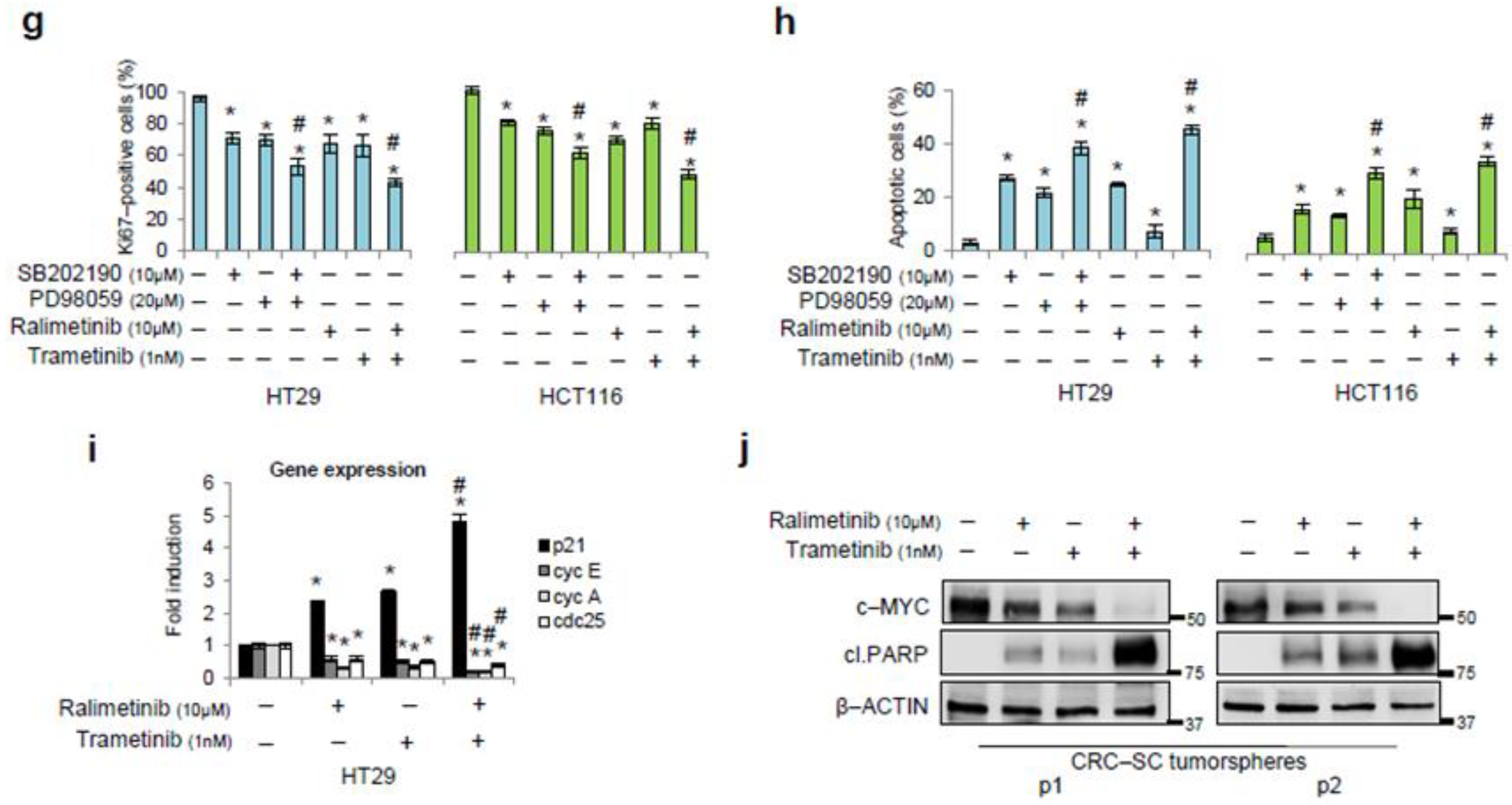 Cancers 16 03704 g004b