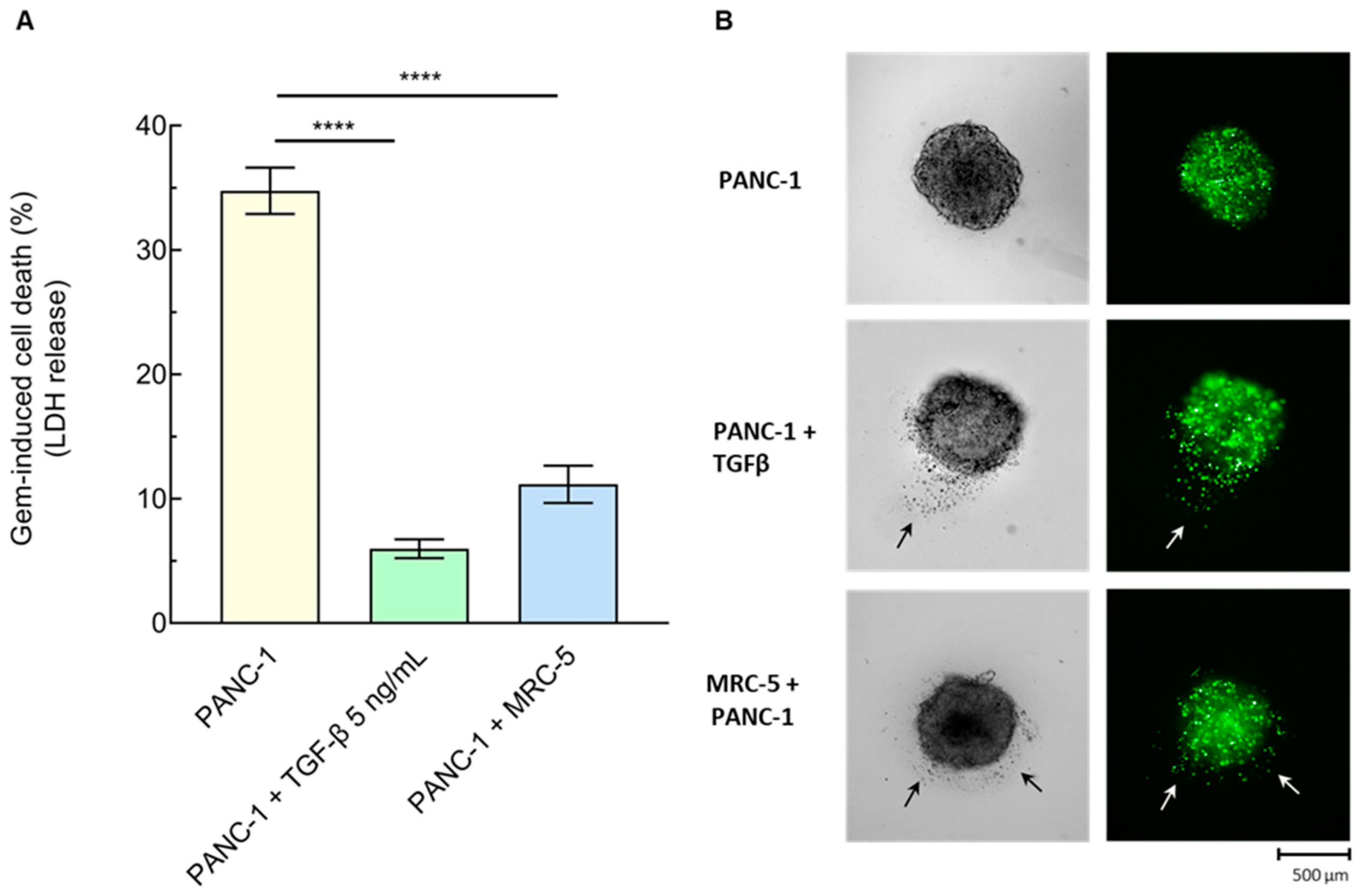 Cancers 16 03705 g005 Cancers 16 03705 g005
