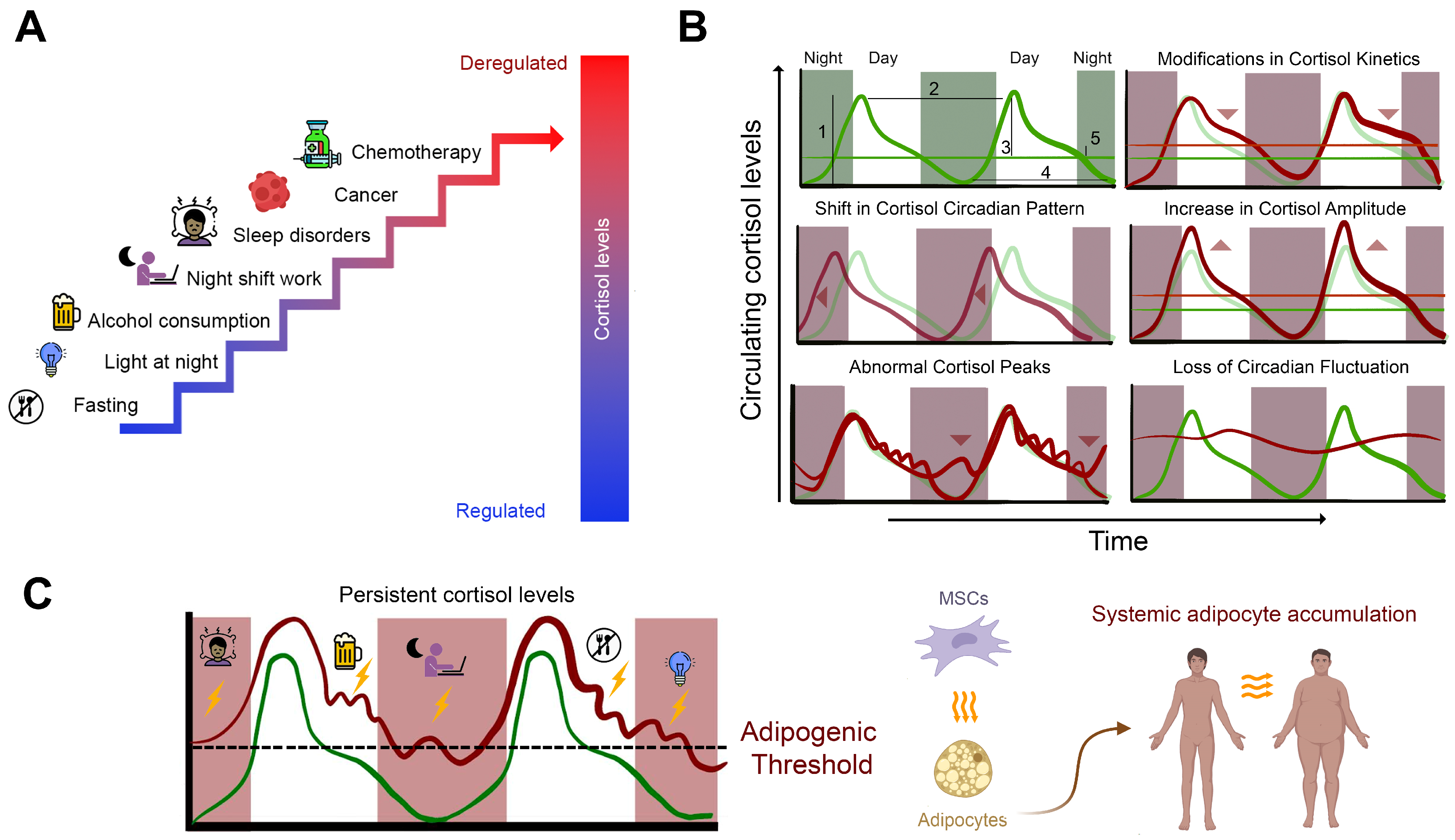 Cancers 16 03706 g001