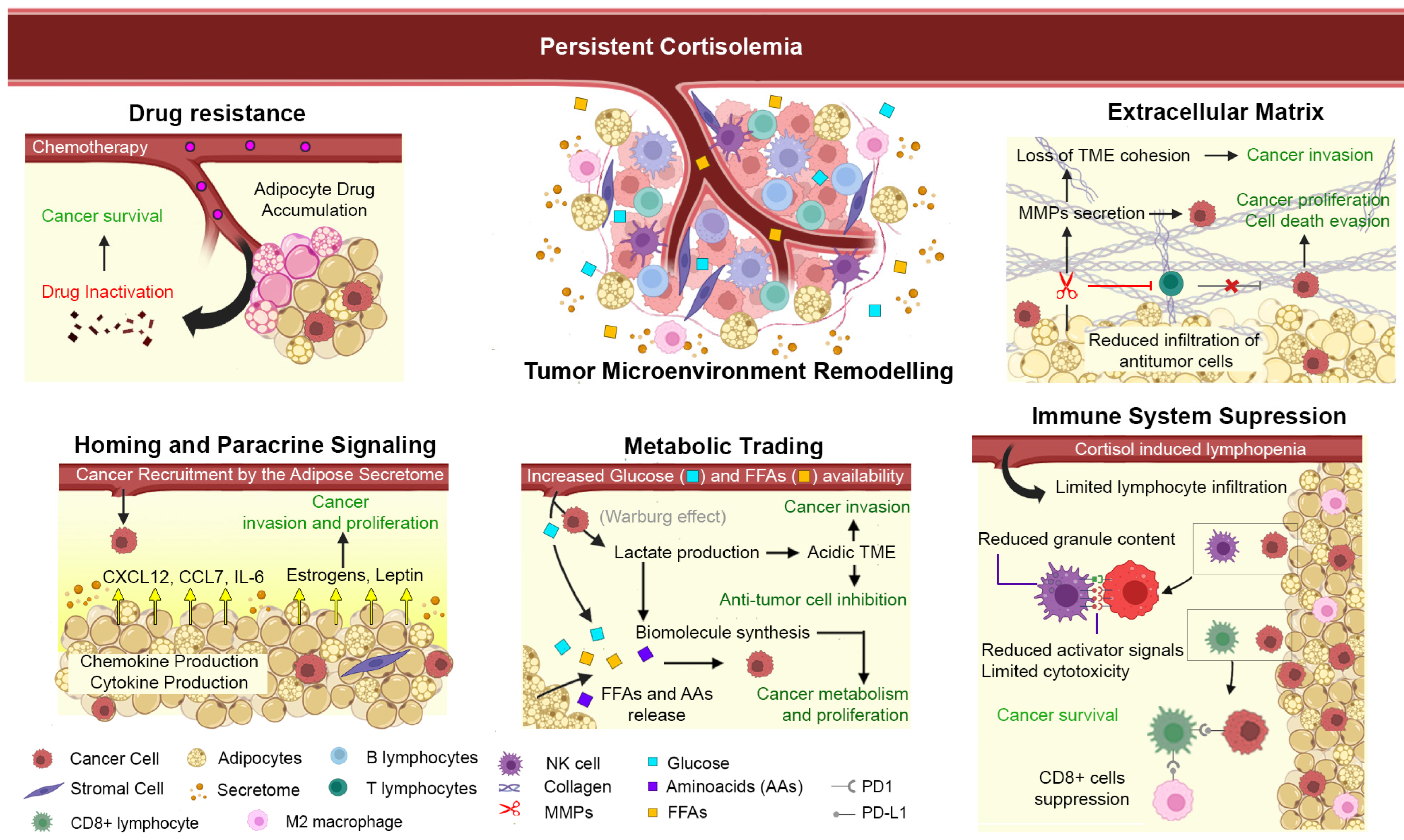 Cancers 16 03706 g002