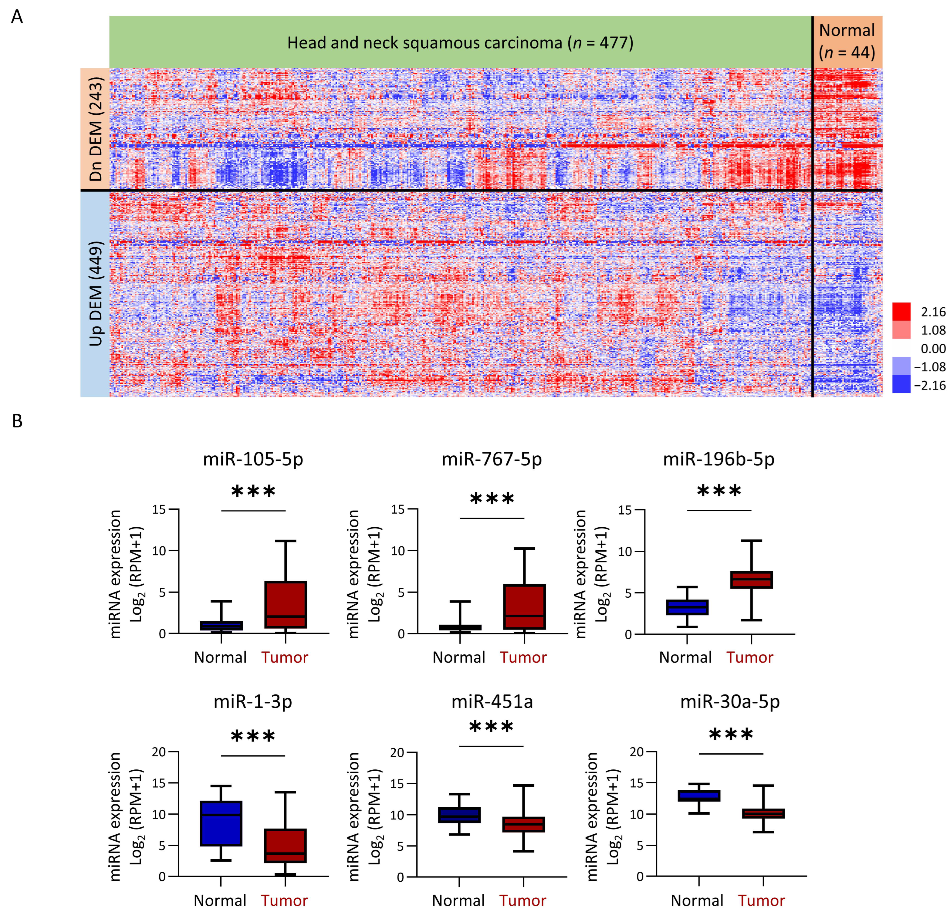 Cancers 16 03710 g002