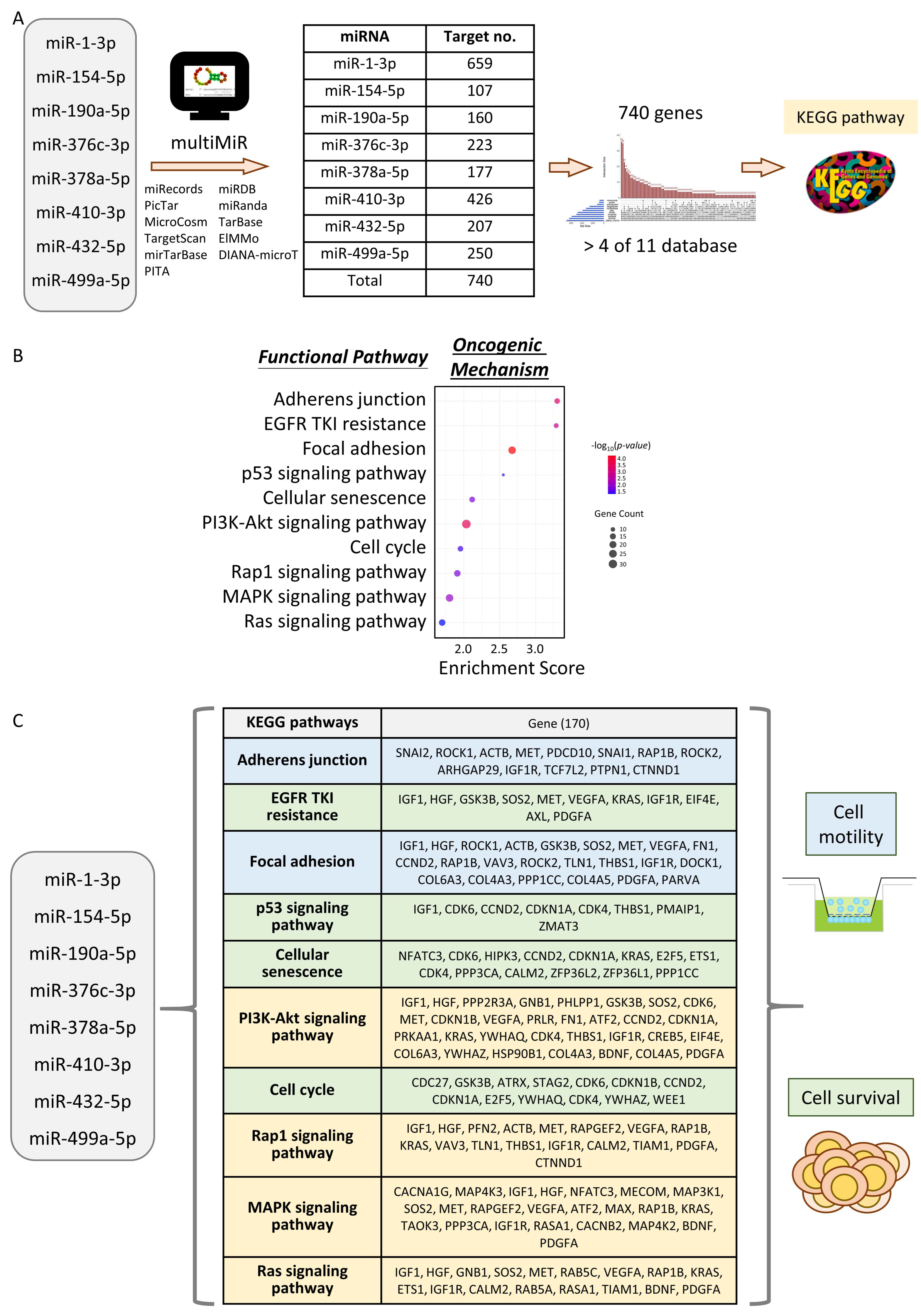 Cancers 16 03710 g004