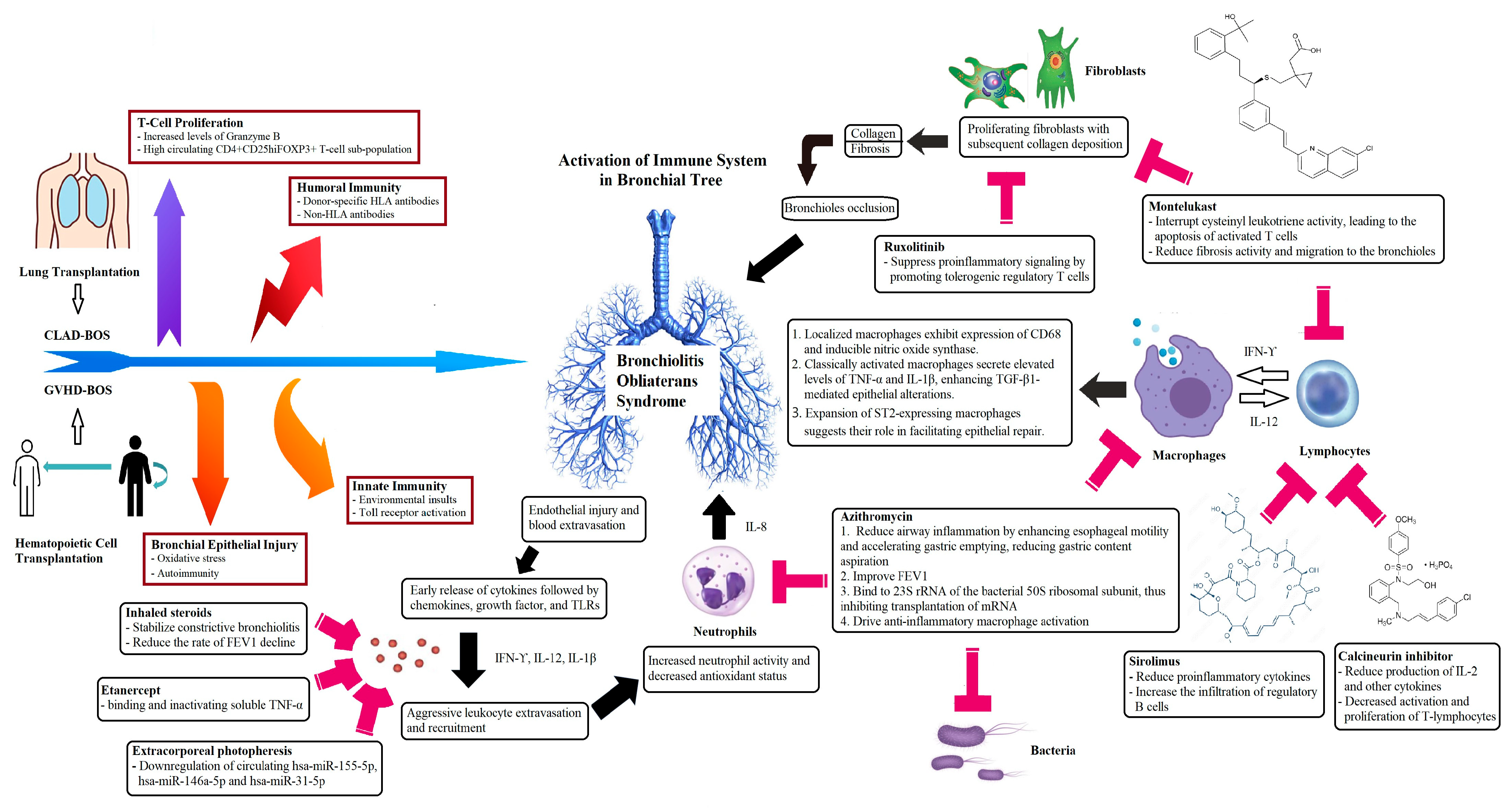 Cancers 16 03715 g001