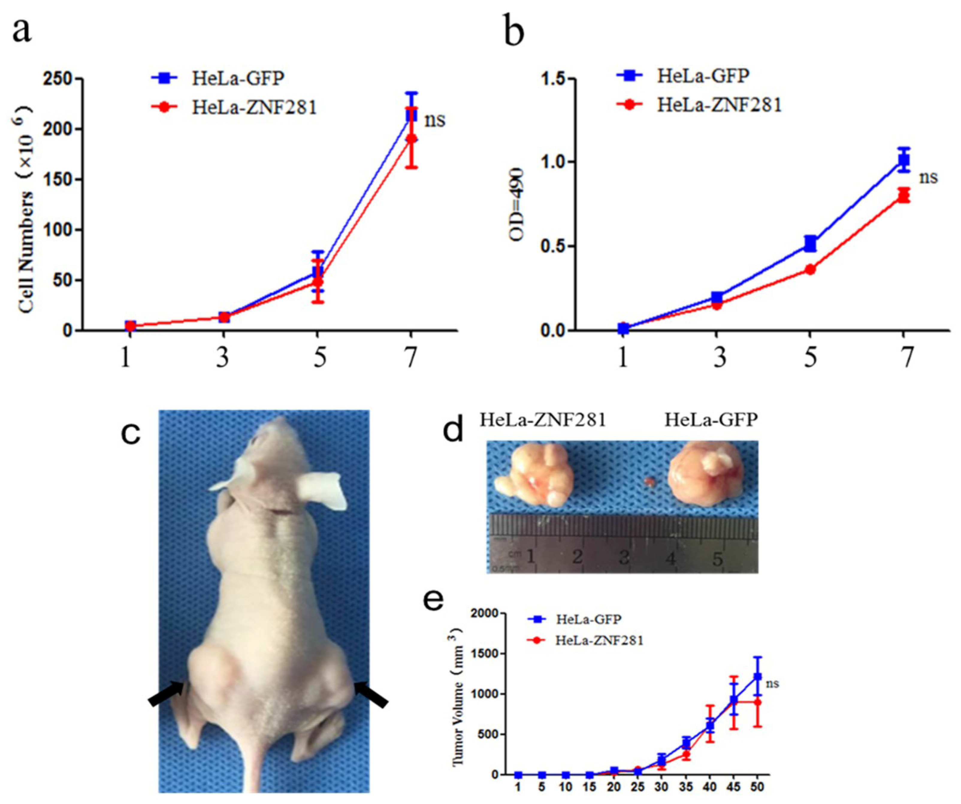 Cancers 16 03717 g003 Cancers 16 03717 g003