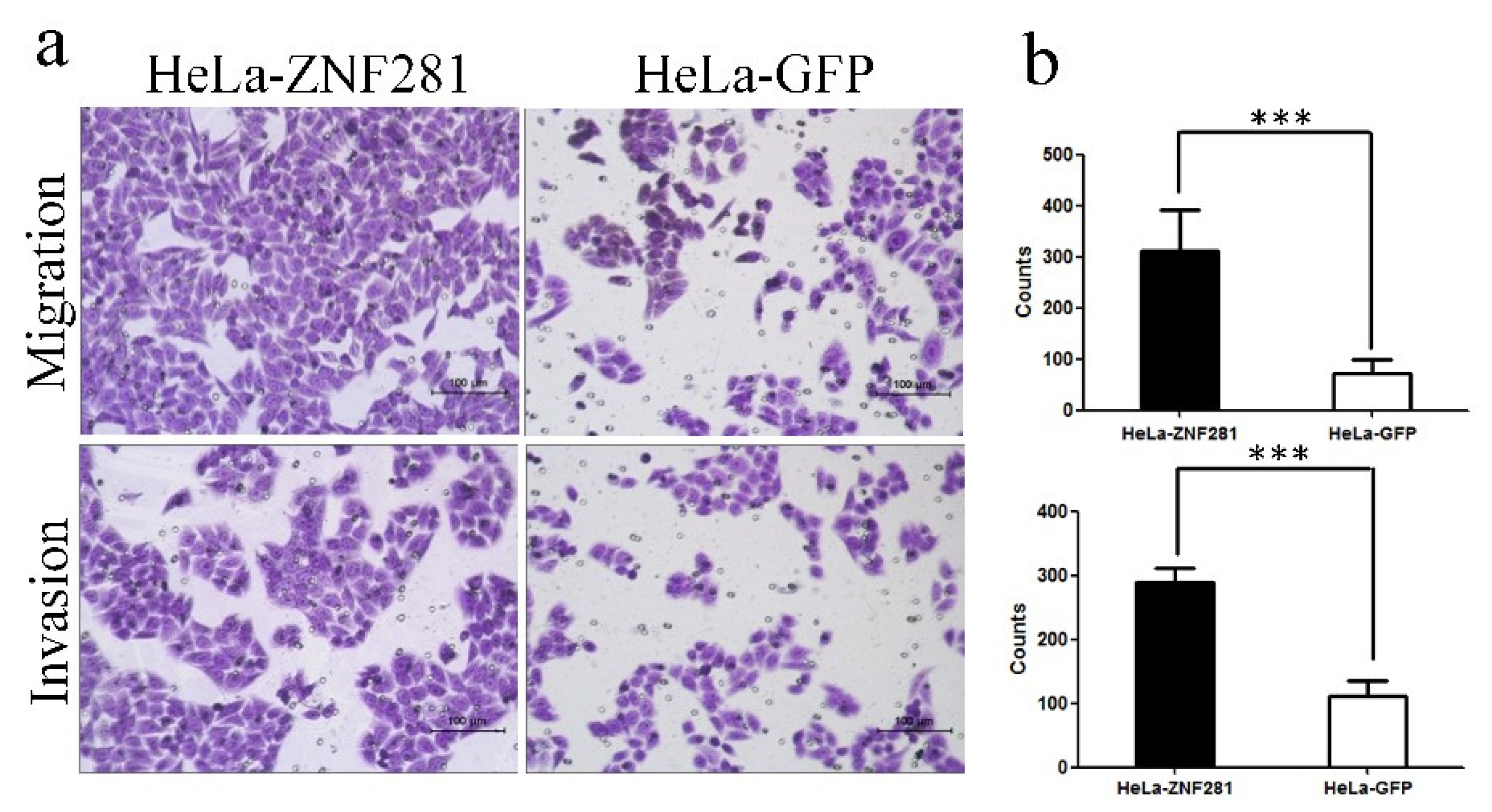 Cancers 16 03717 g004 Cancers 16 03717 g004