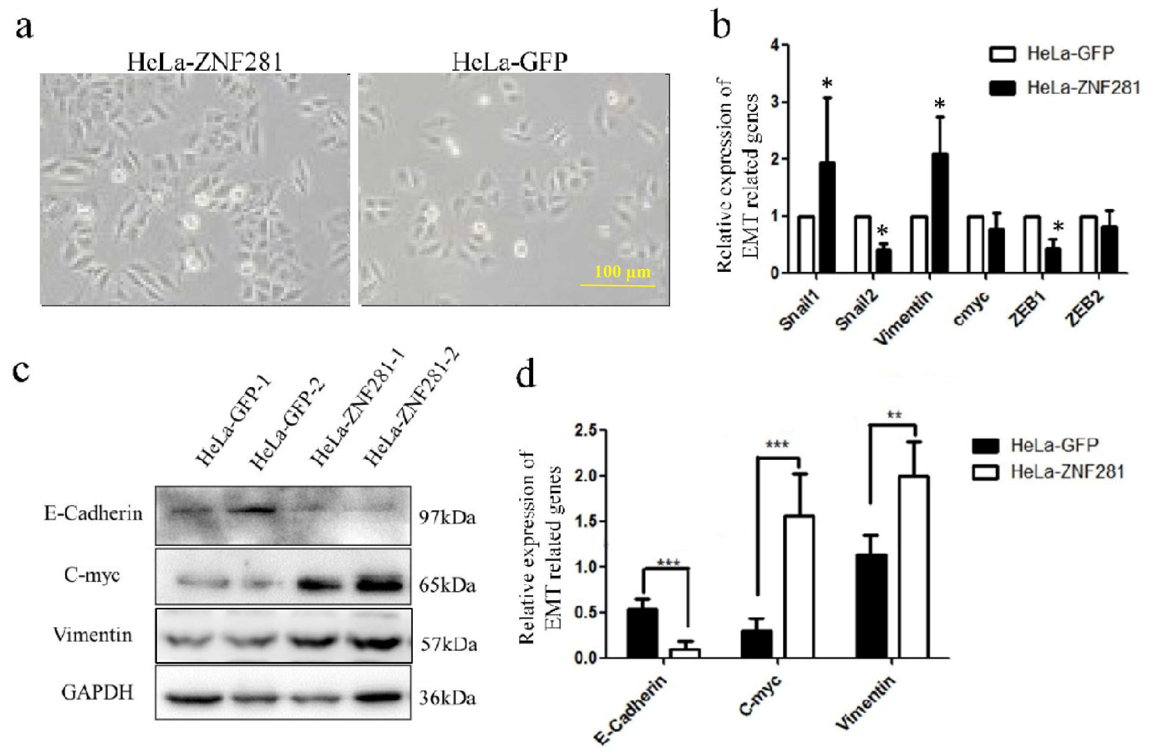 Cancers 16 03717 g006 Cancers 16 03717 g006