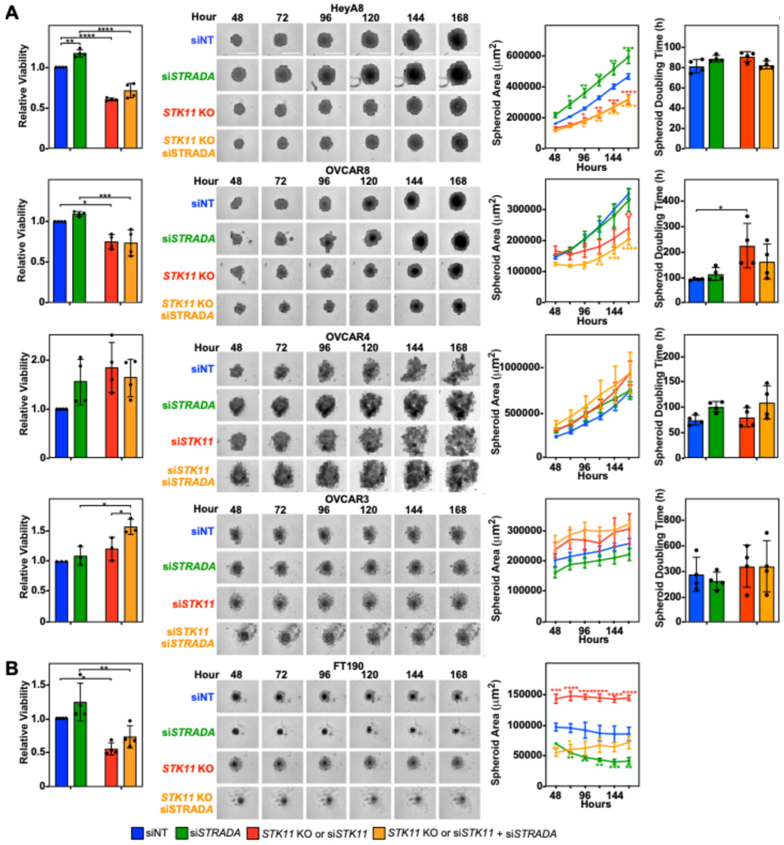 Cancers 16 03726 g001