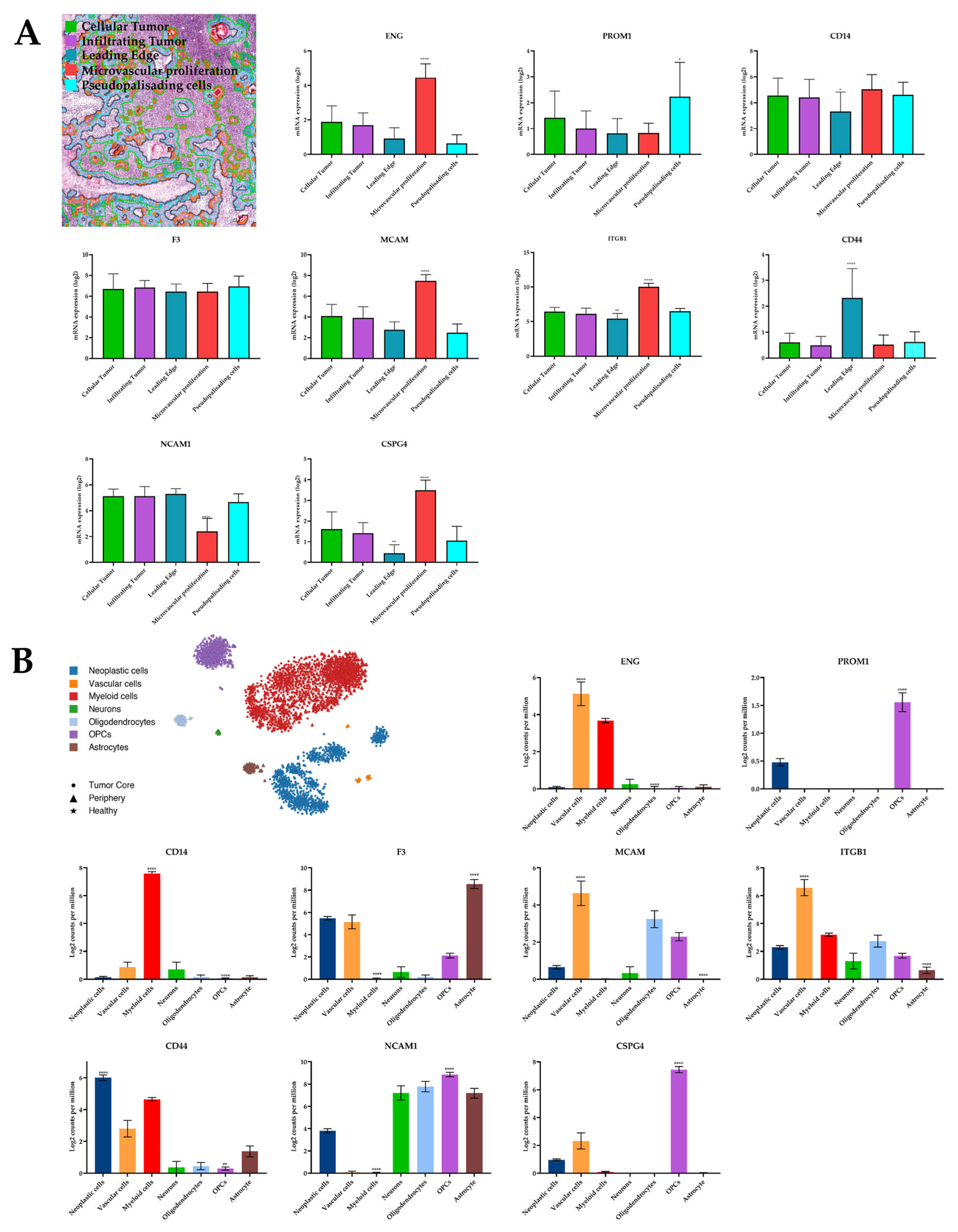 Cancers 16 03748 g005