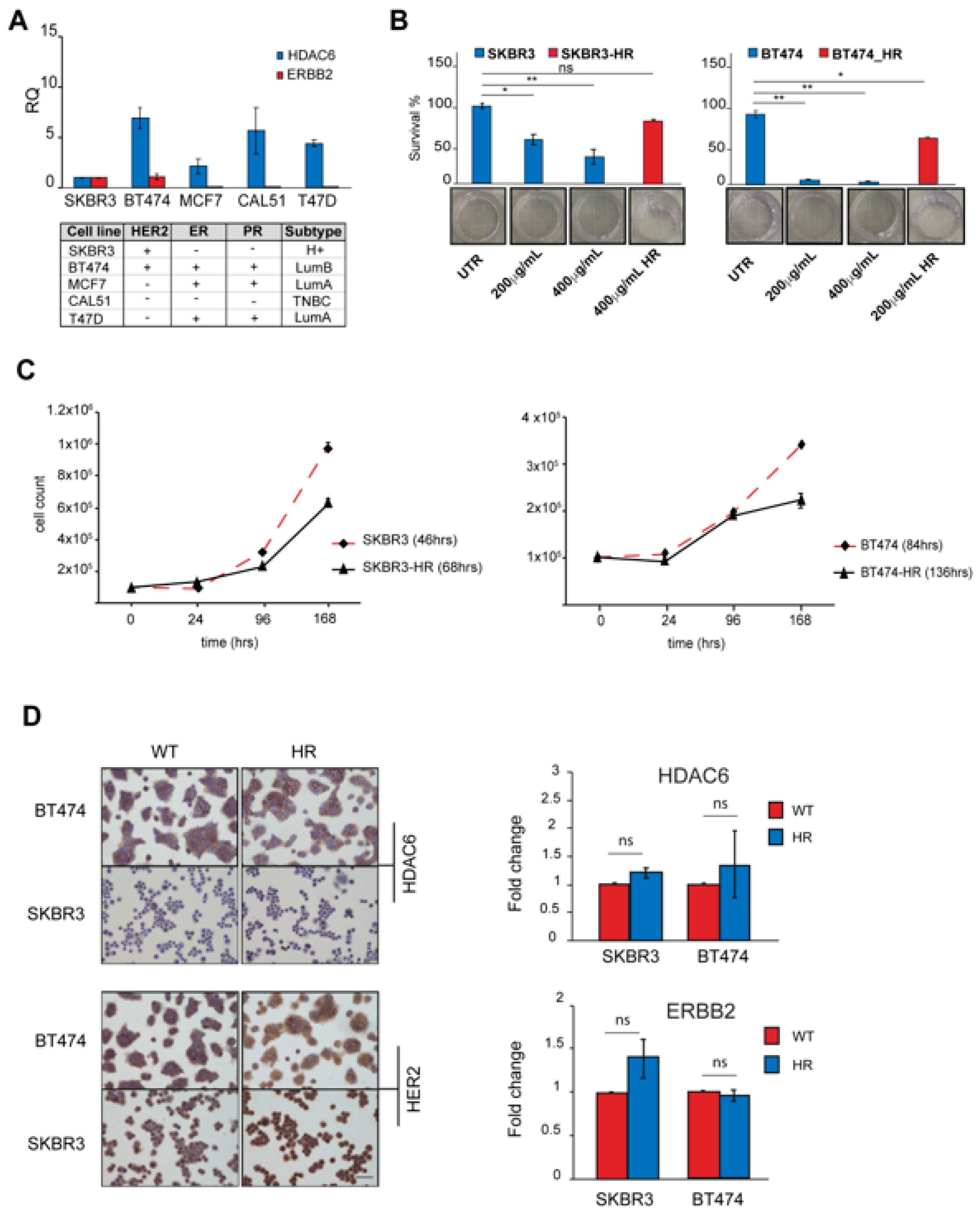 Cancers 16 03752 g003