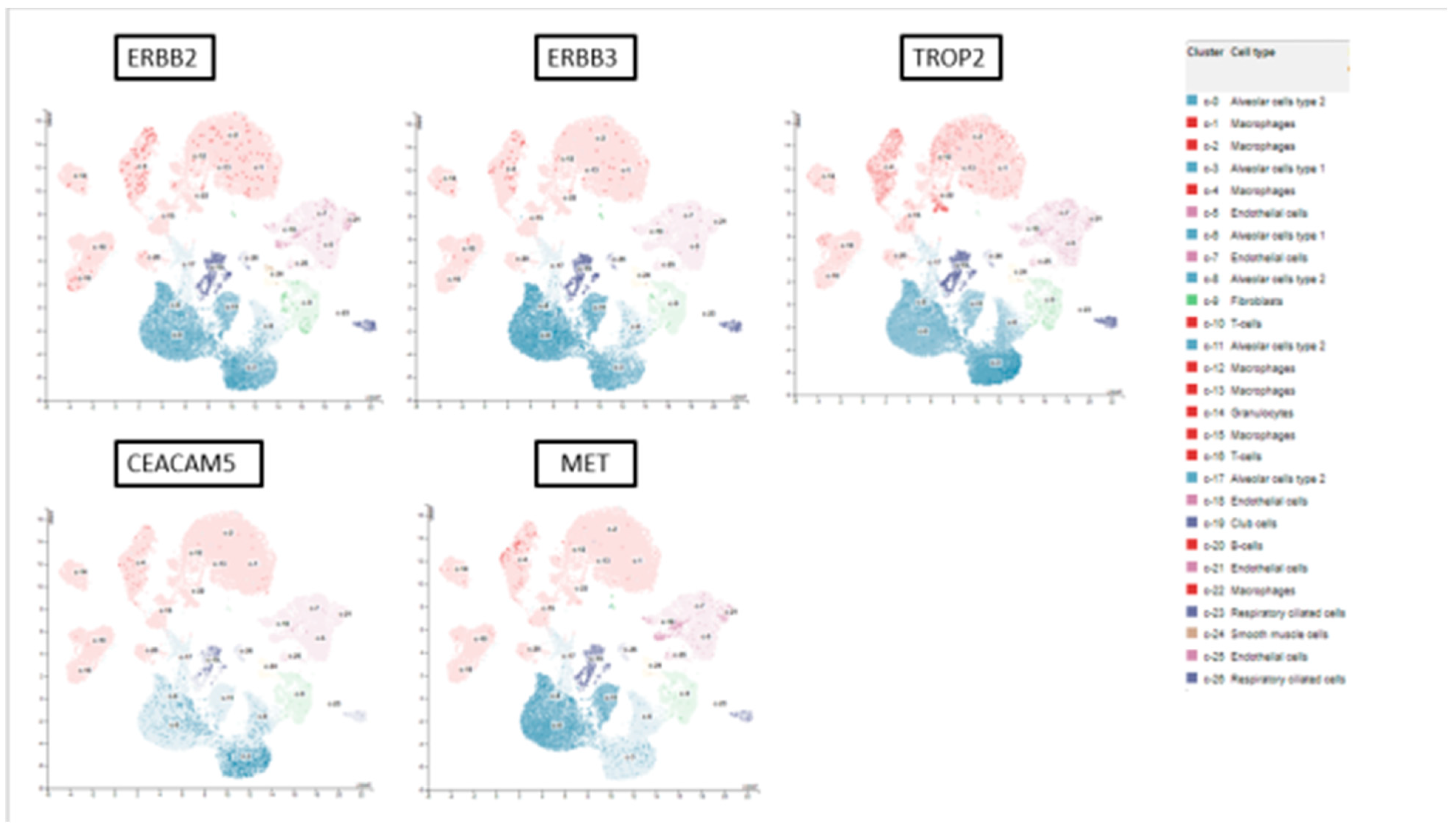 Cancers 16 03753 g002