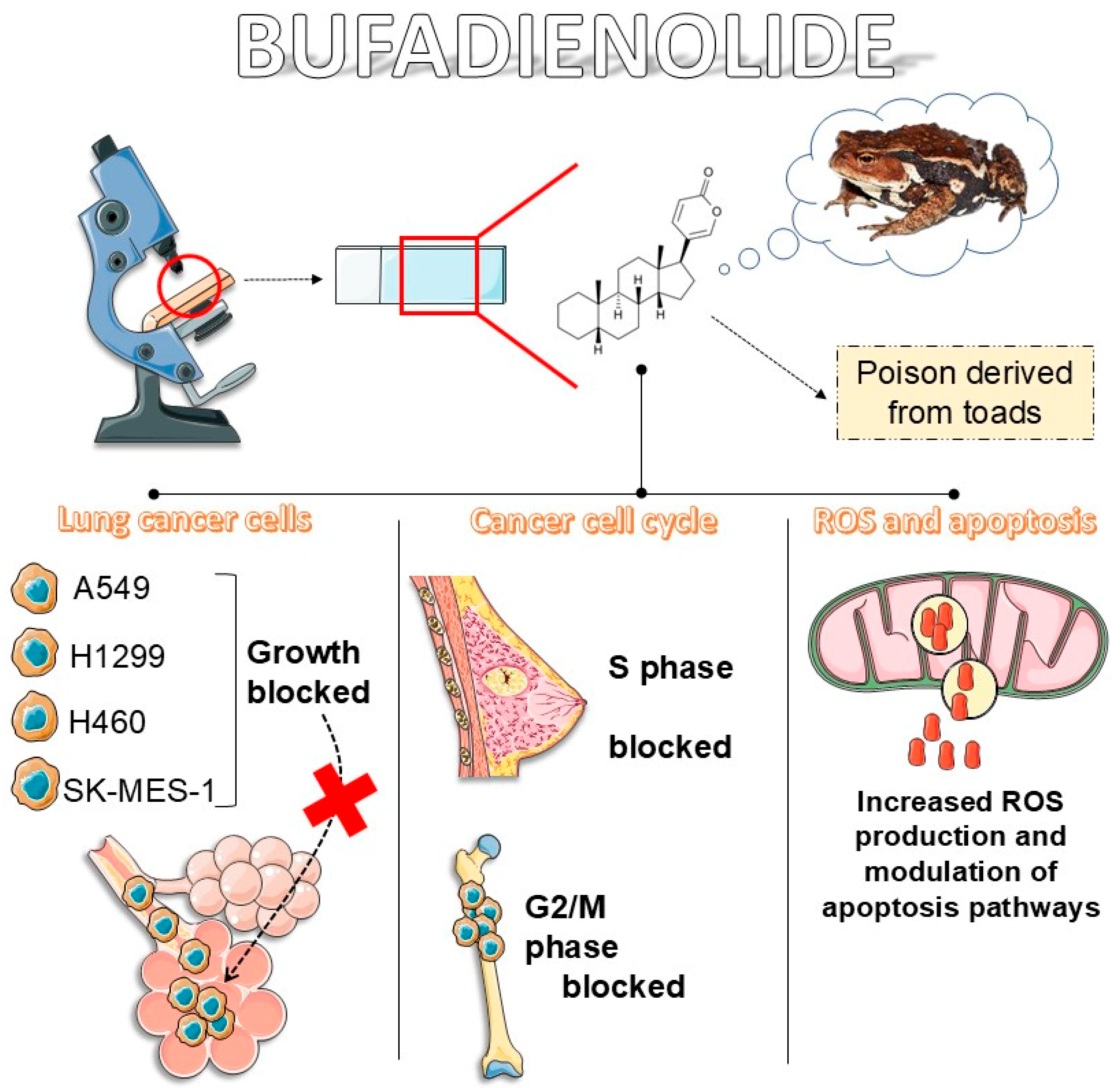 Cancers 16 03758 g002