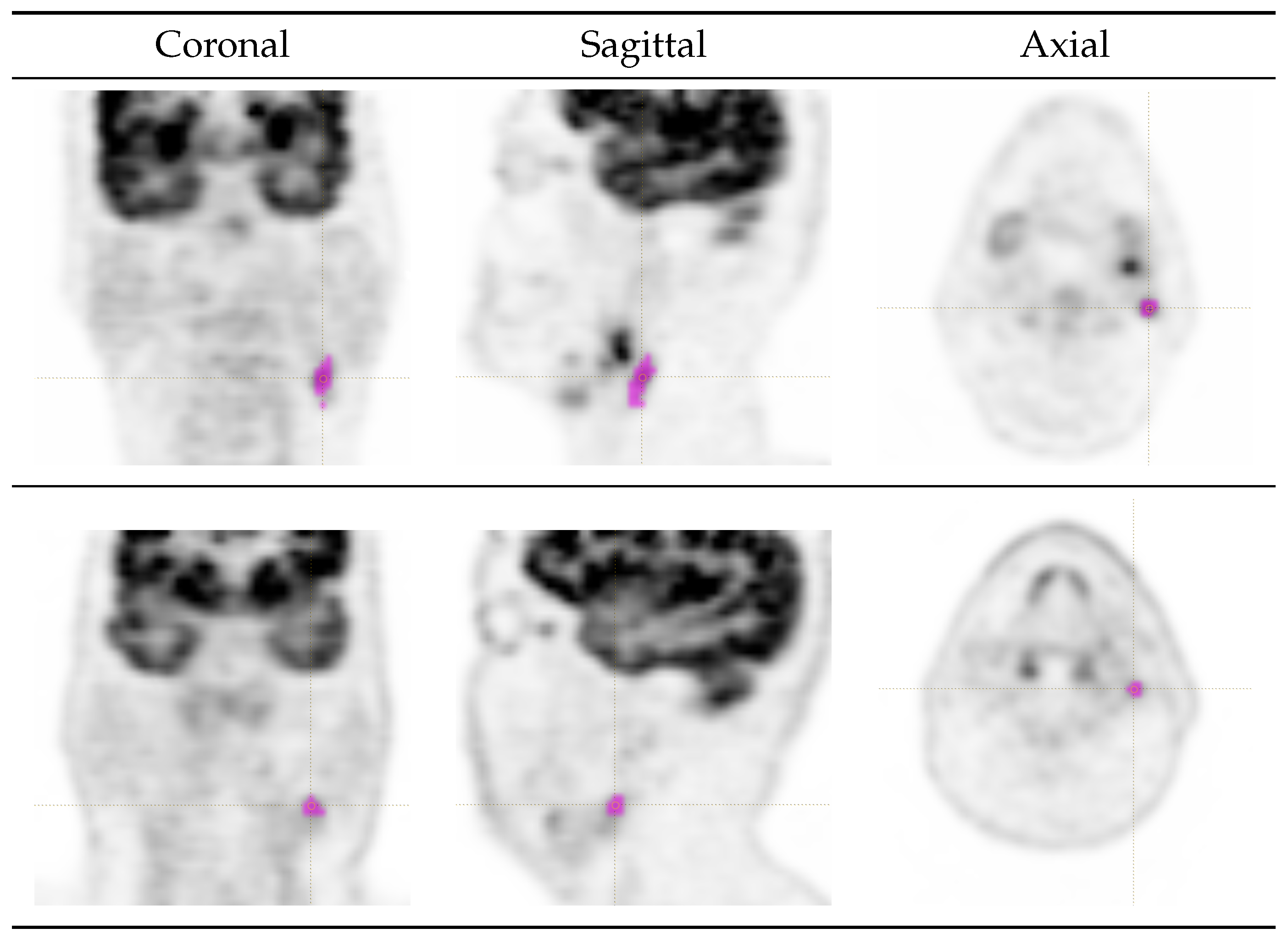 Cancers 16 03759 g001