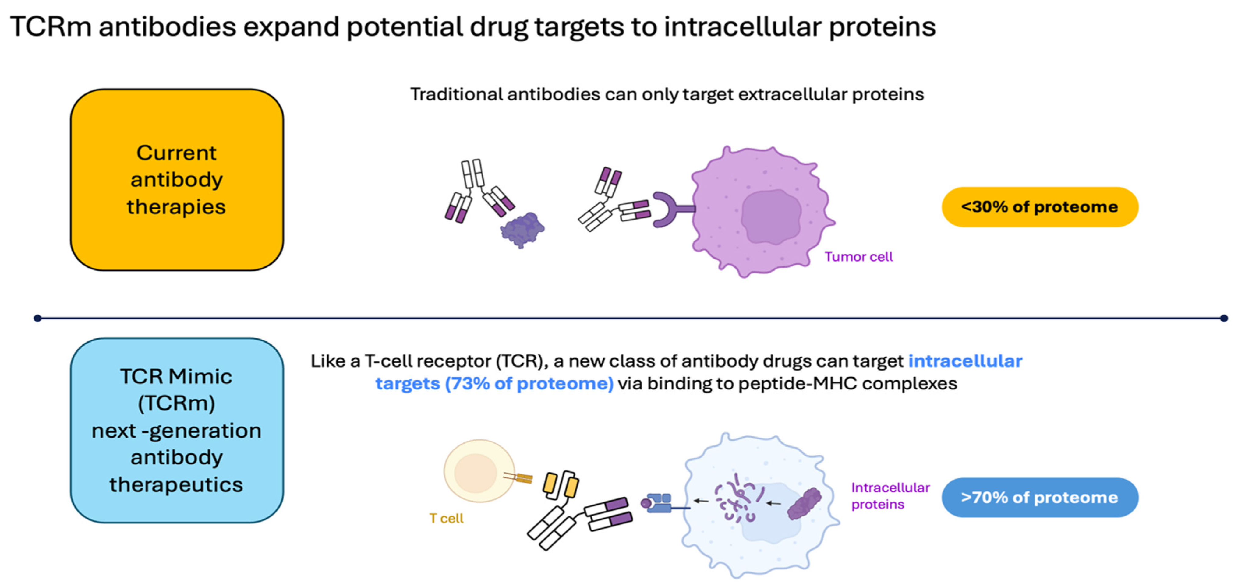 Cancers 16 03776 g001