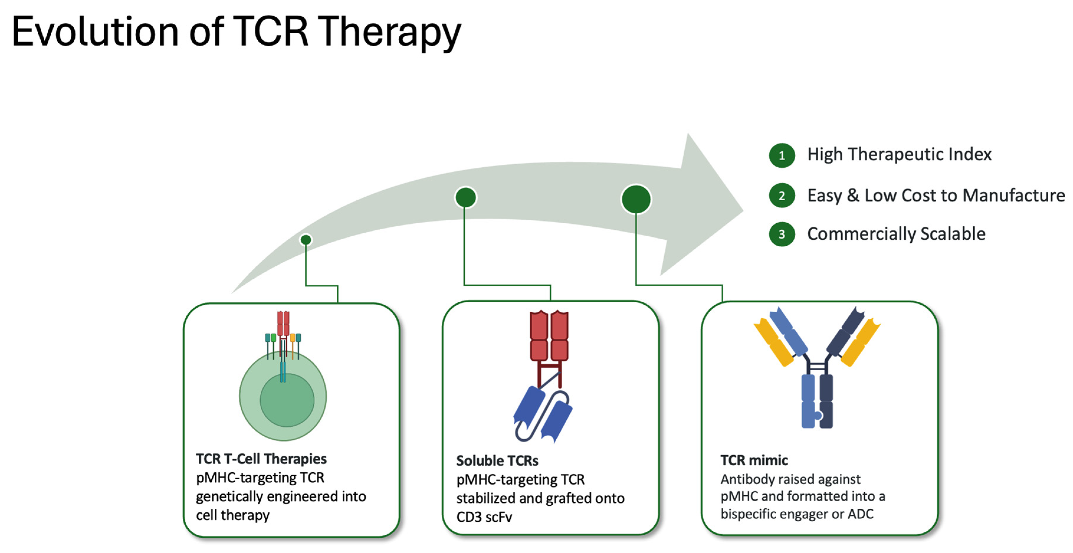 Cancers 16 03776 g002