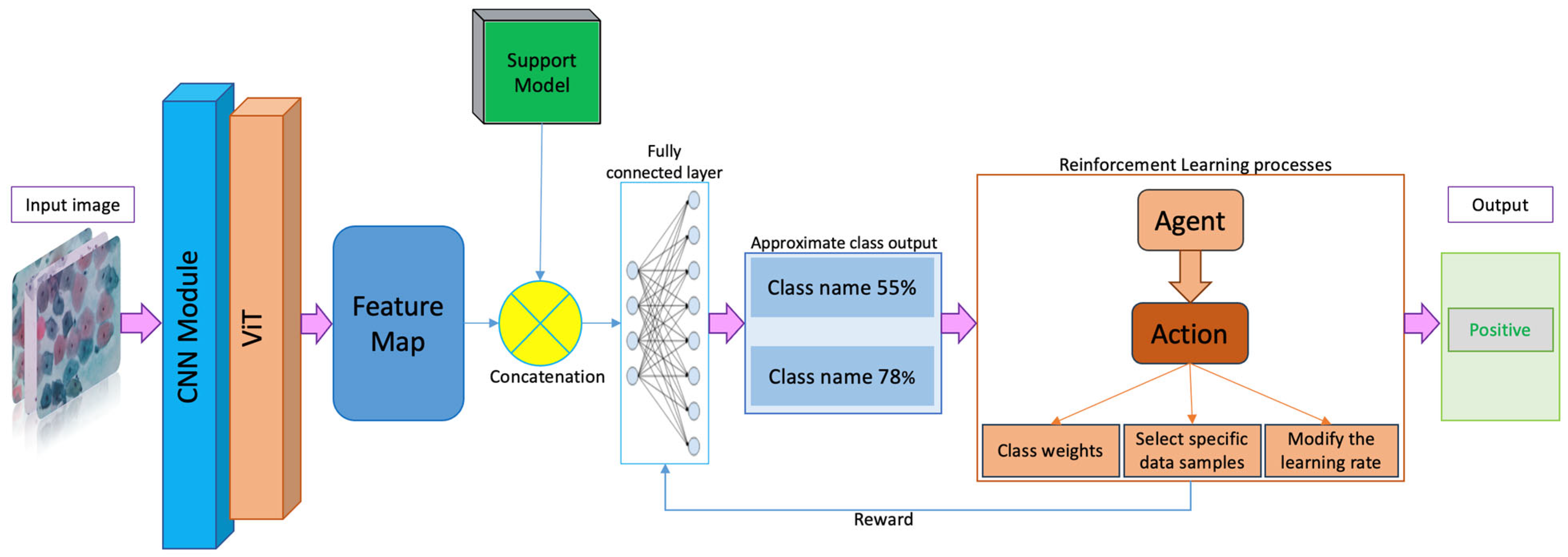 Cancers 16 03782 g001
