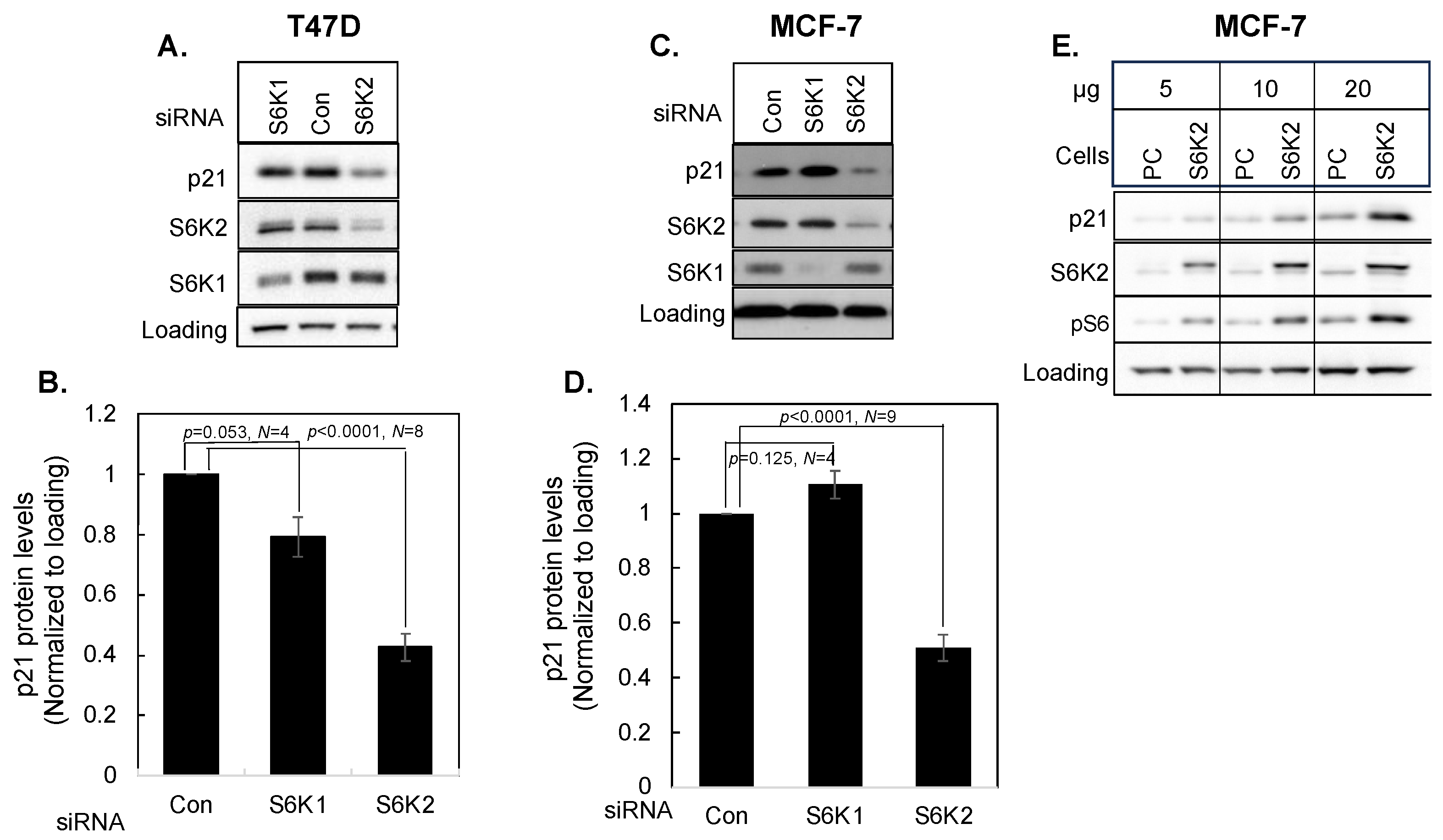 Cancers 16 03783 g002