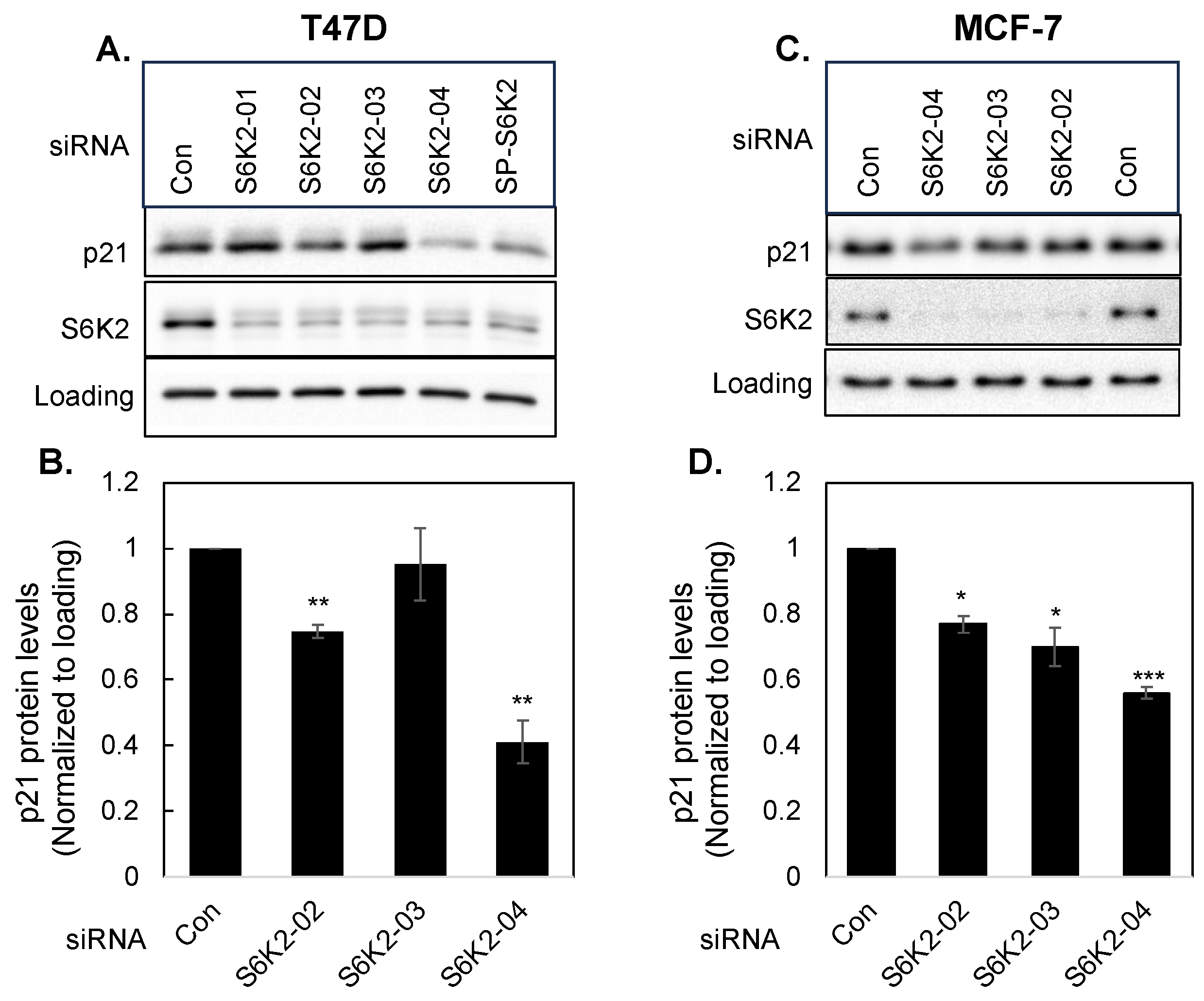Cancers 16 03783 g003