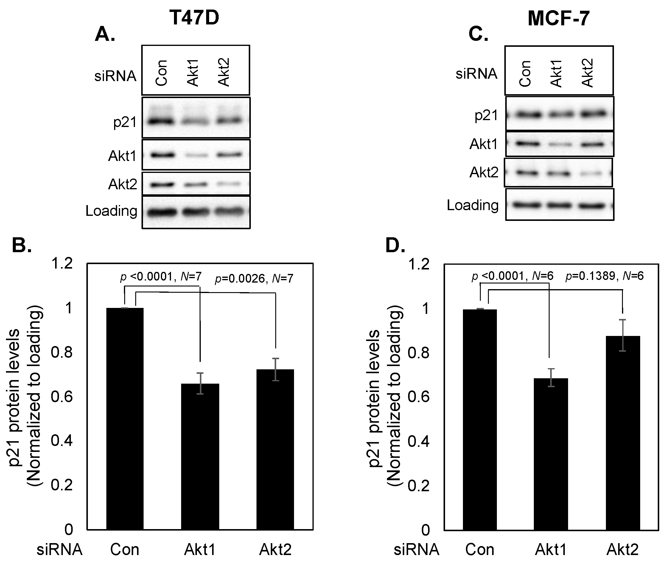 Cancers 16 03783 g004