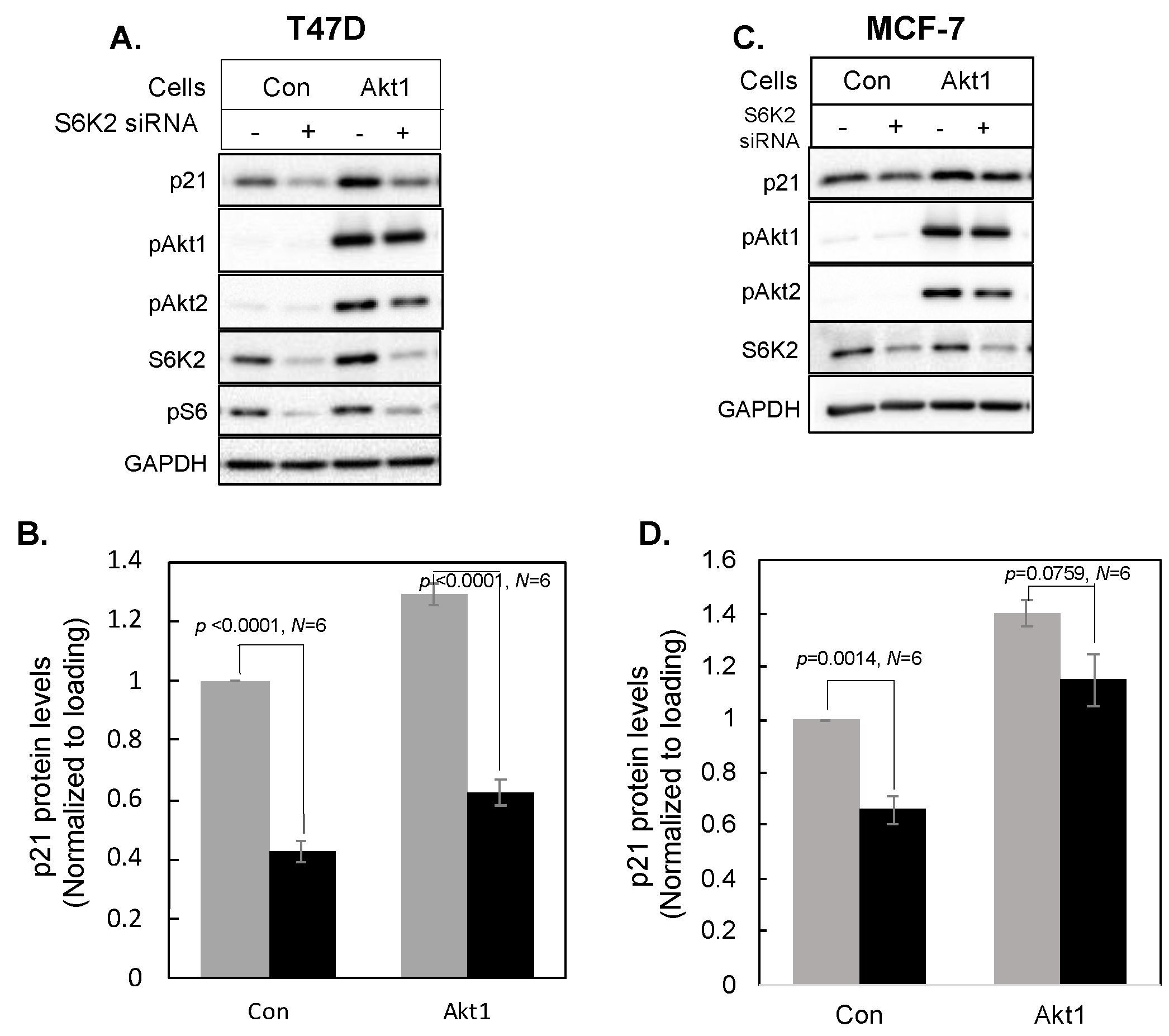 Cancers 16 03783 g005