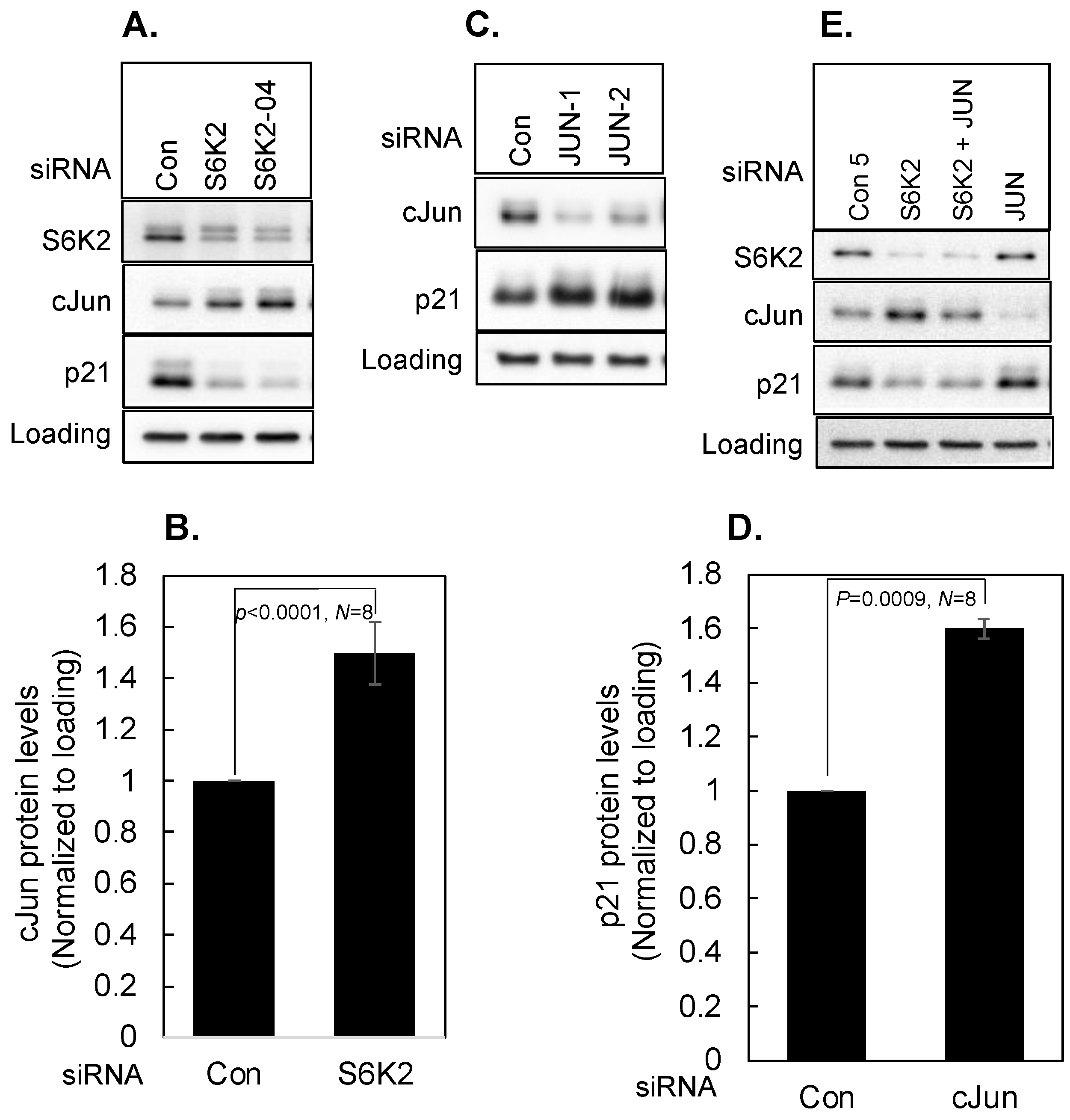 Cancers 16 03783 g006