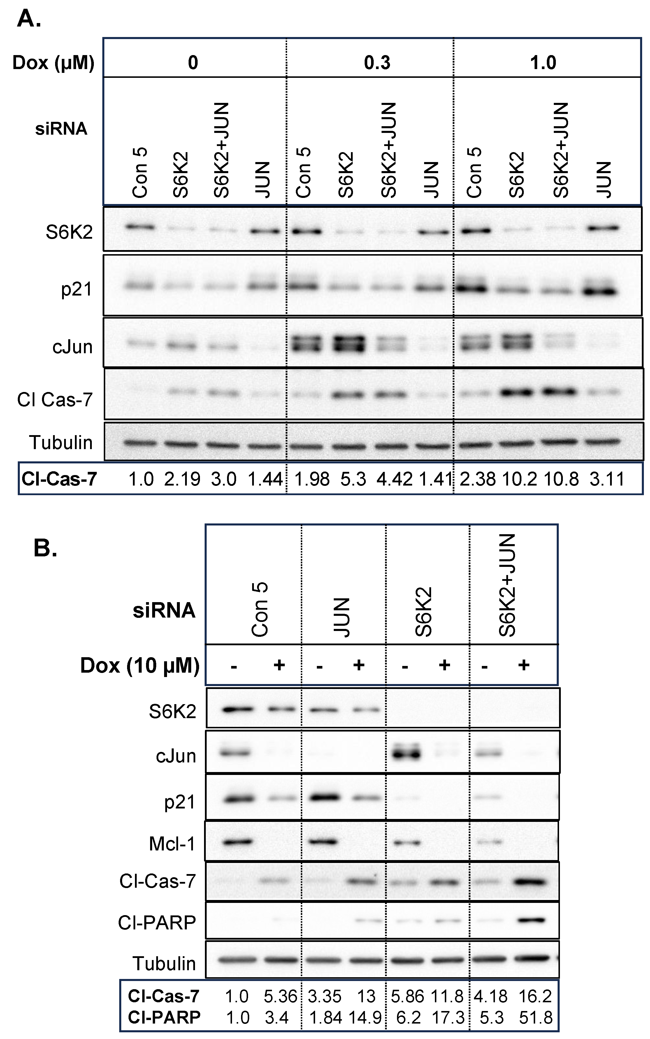 Cancers 16 03783 g009