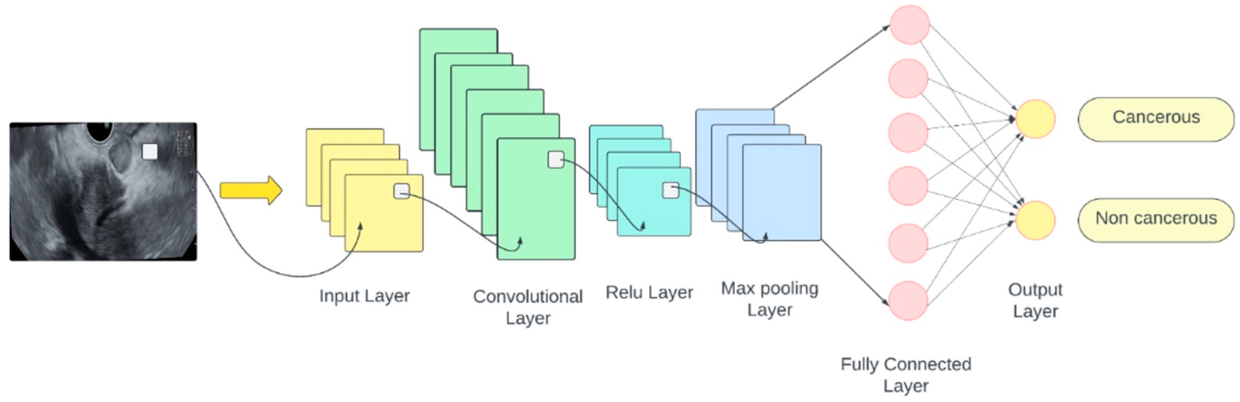 Cancers 16 03792 g002